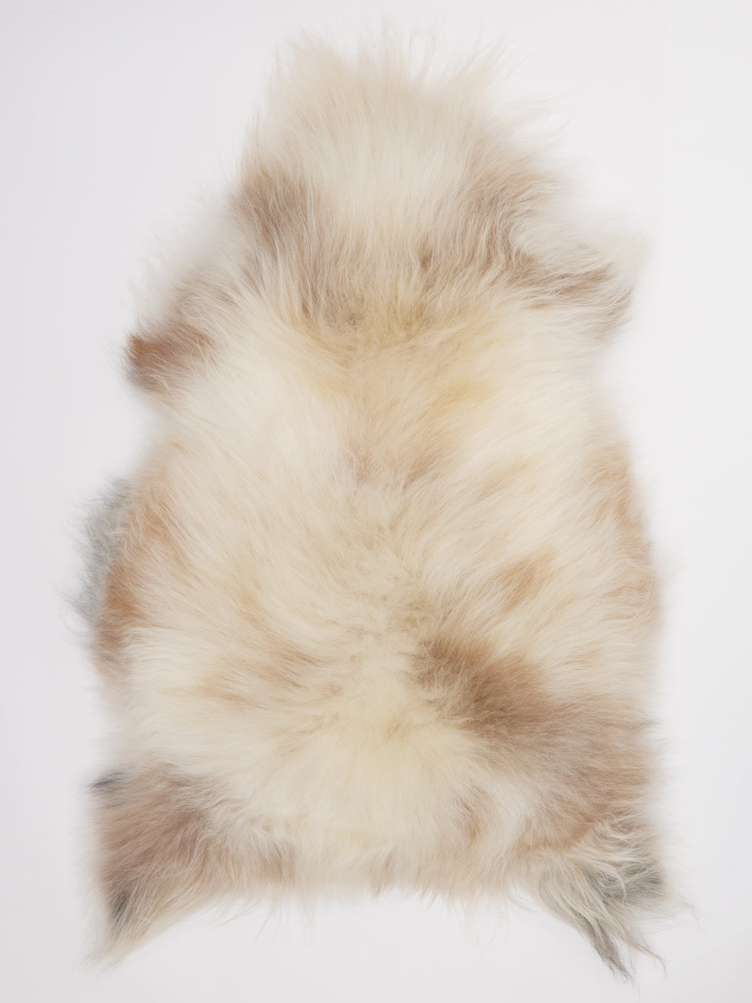 Islandiškas avikailis L