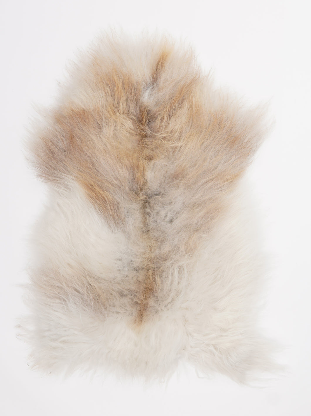 Islandiškas avikailis M