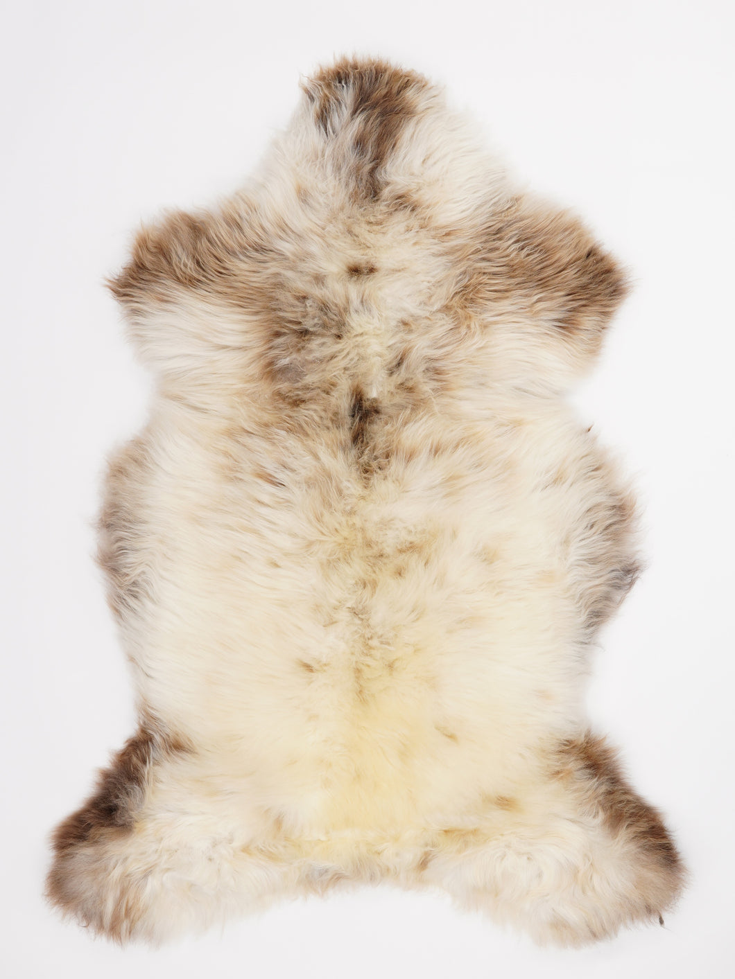 Įvairiaspalvis avikailis XL