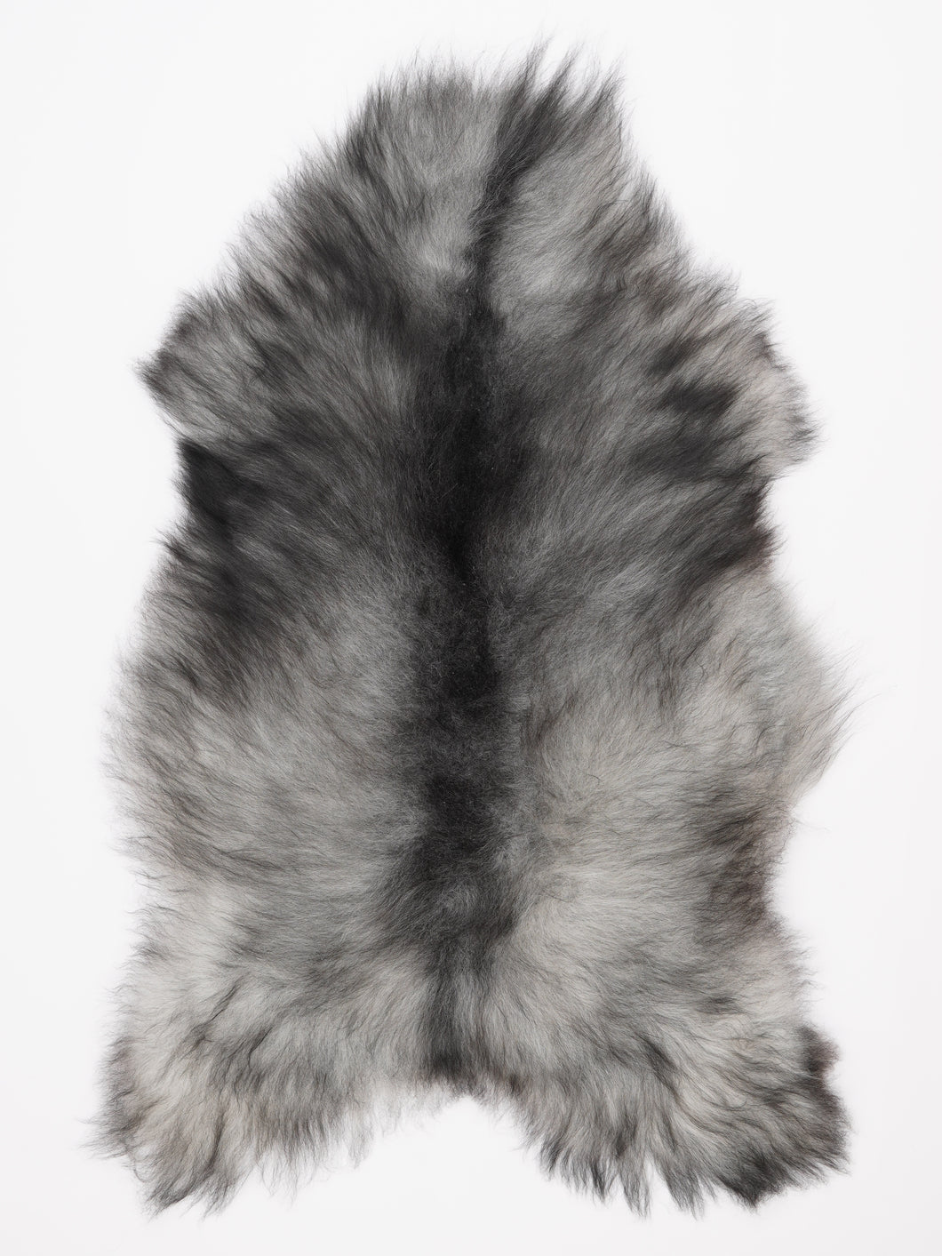 Islandiškas avikailis XL