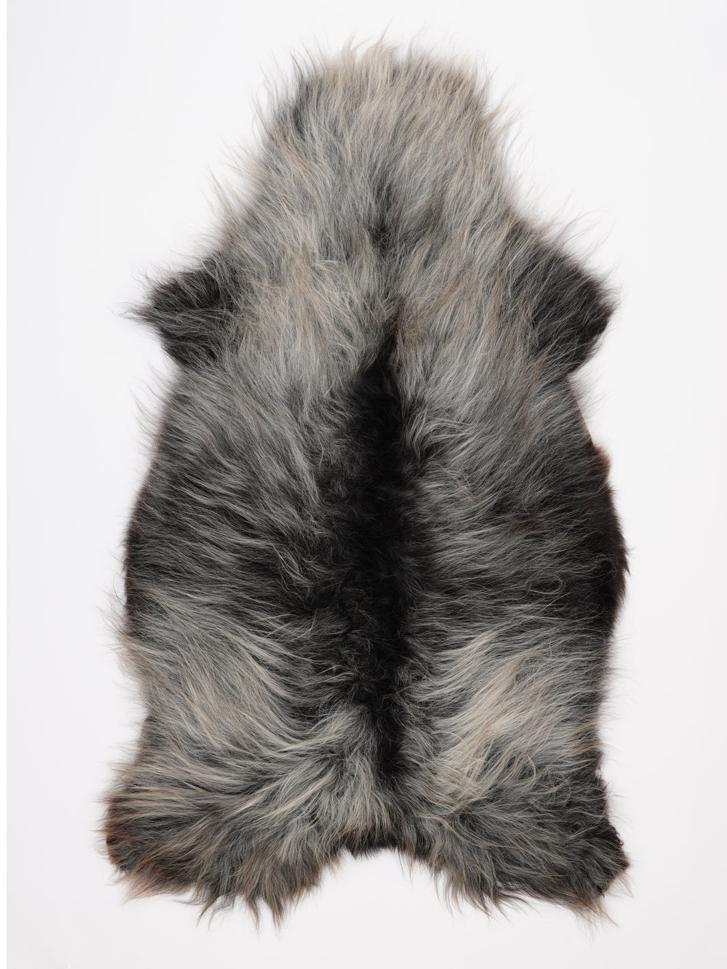 B klasės islandiškas avikailis XXL