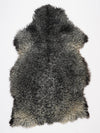 Gotlando avikailis XXL