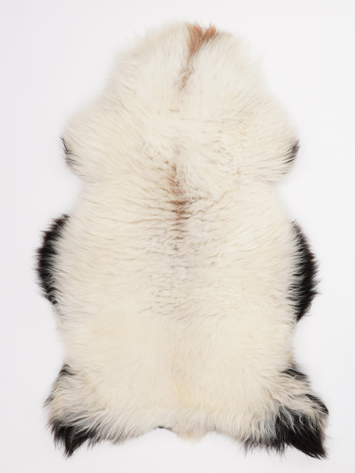 Įvairiaspalvis avikailis L