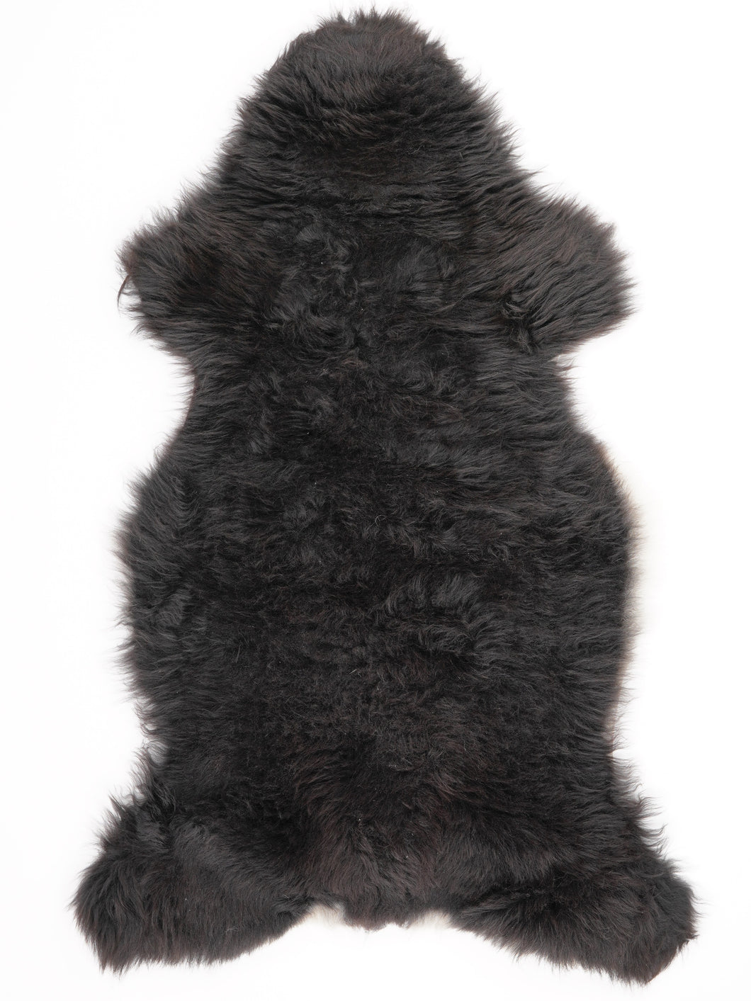 Įvairiaspalvis avikailis XL