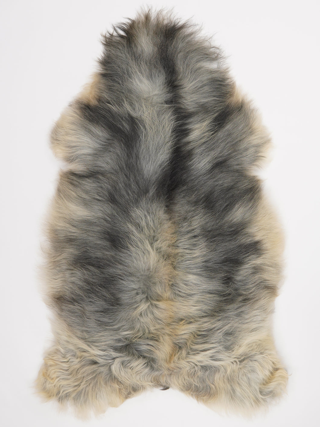 Pilkas islandiškas avikailis XXL