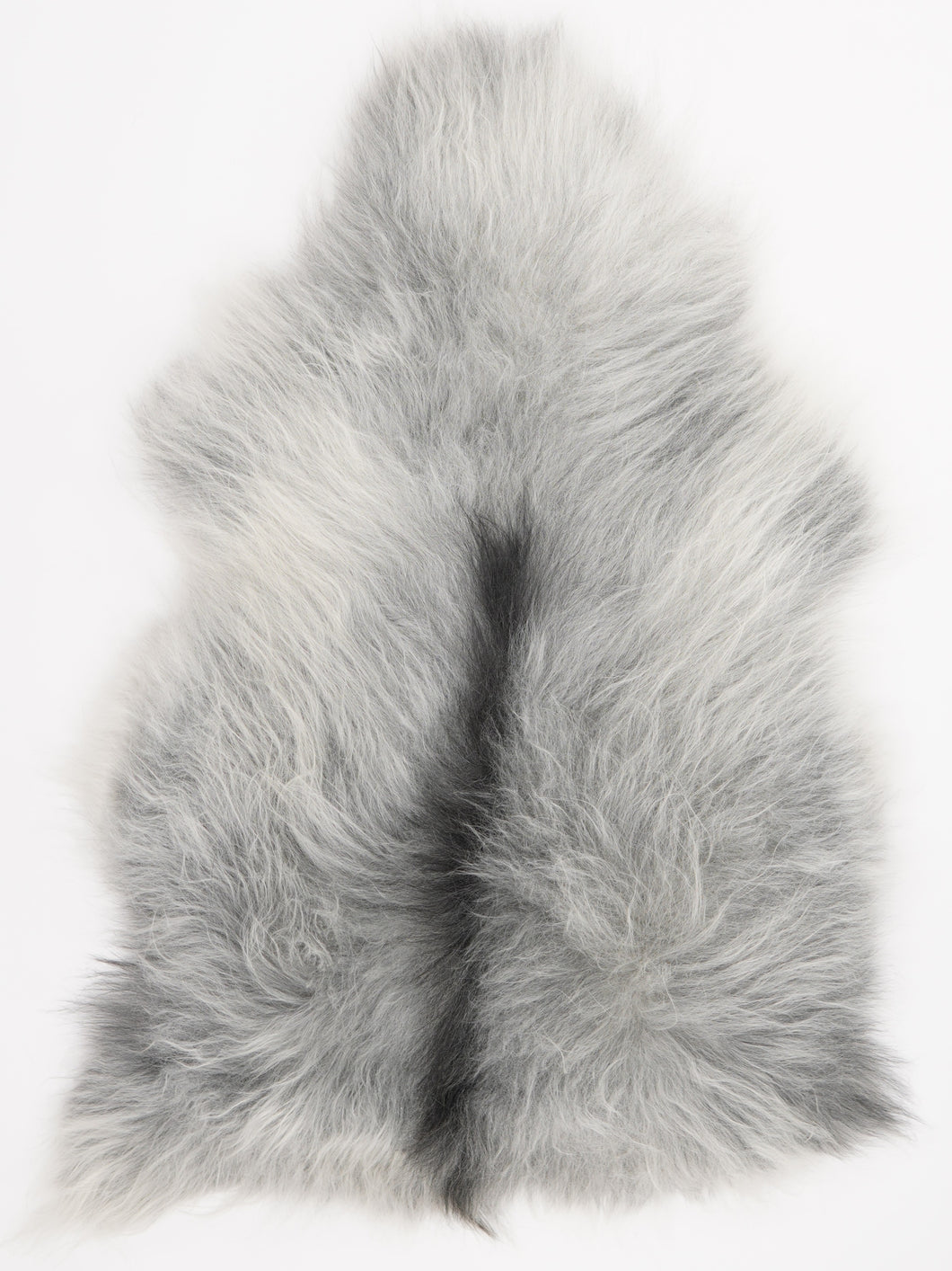 Pilkas islandiškas avikailis L