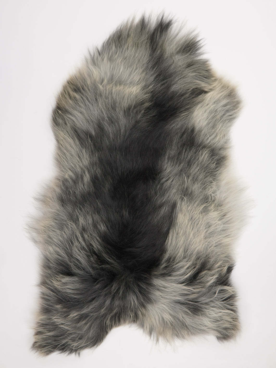 Pilkas islandiškas avikailis XXL