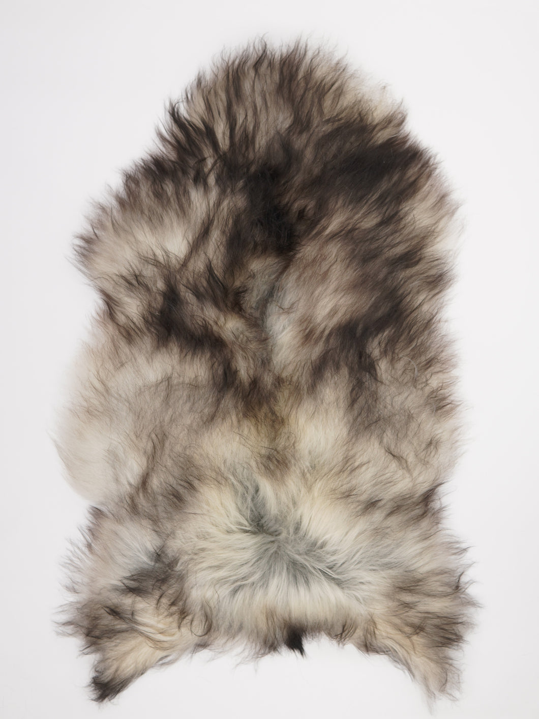 Pilkas islandiškas avikailis XXL