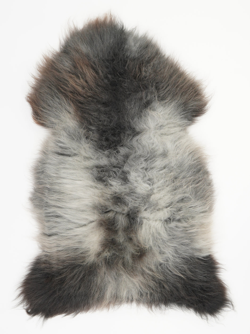 Įvairiaspalvis avikailis XL