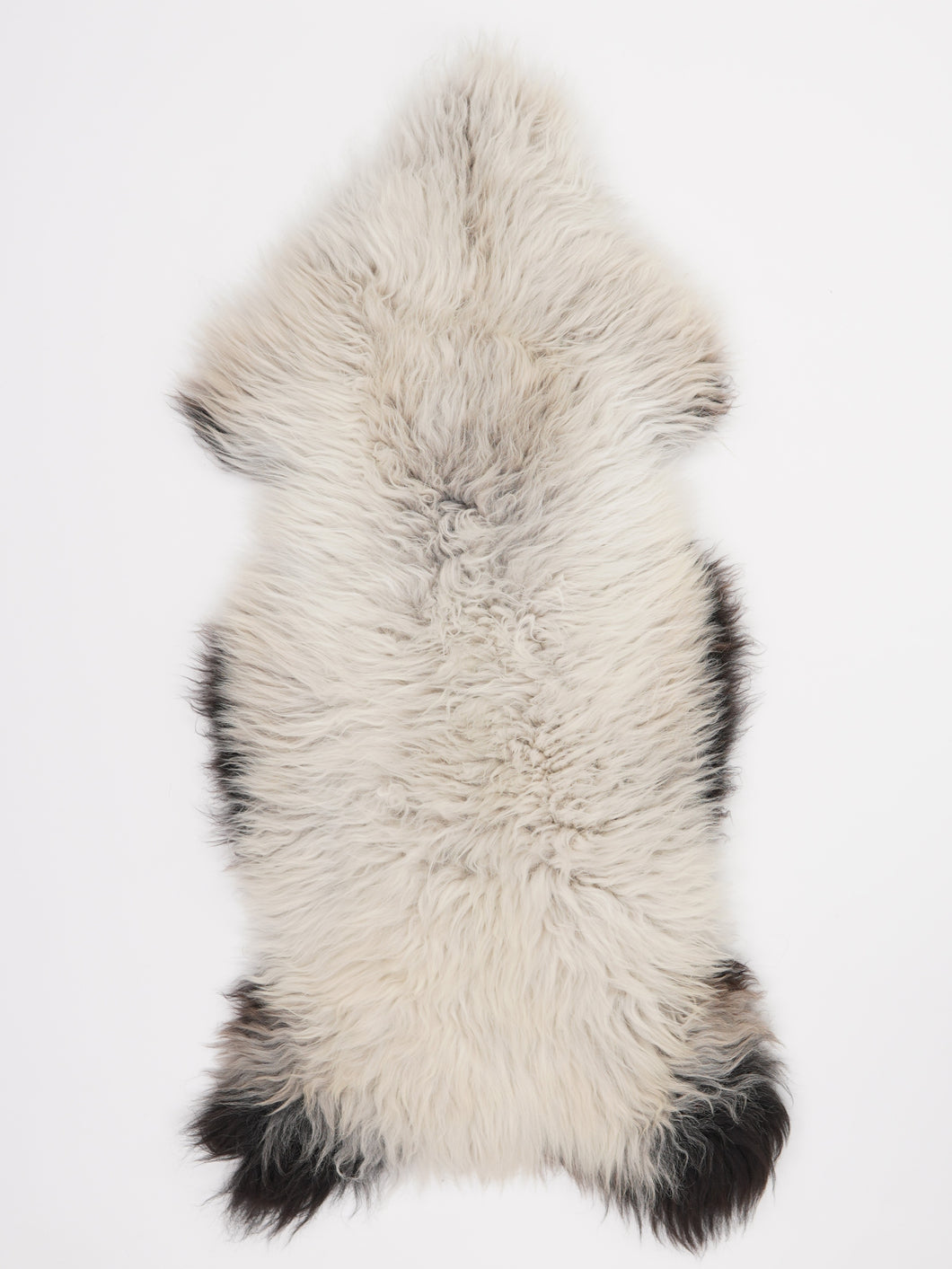 Įvairiaspalvis avikailis XL