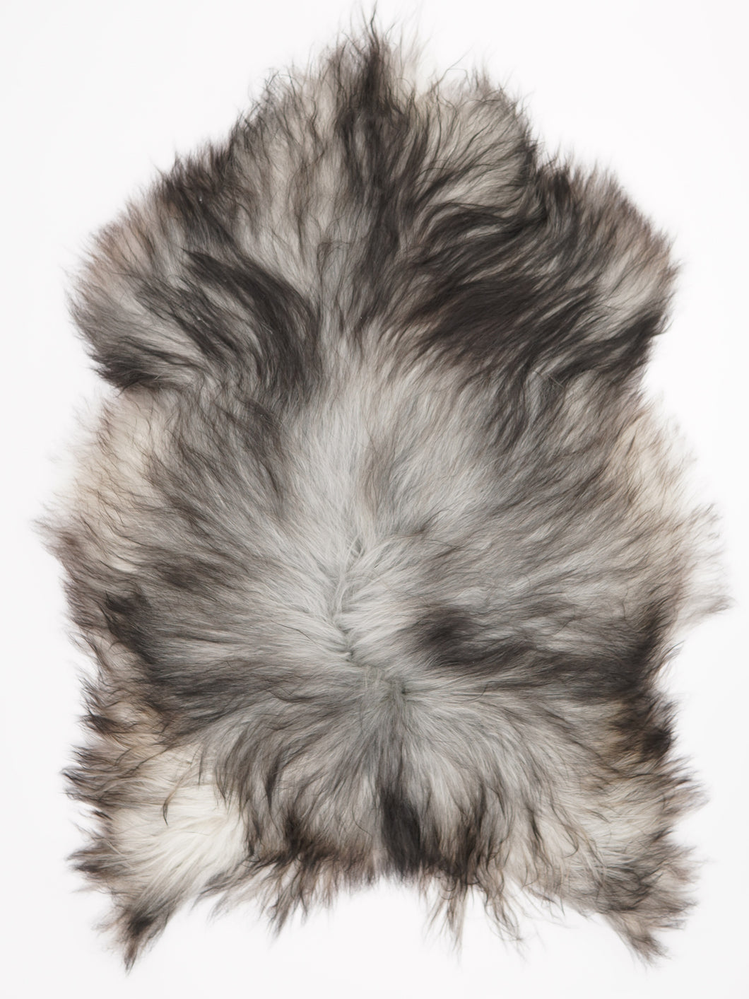 Pilkas islandiškas avikailis XXL