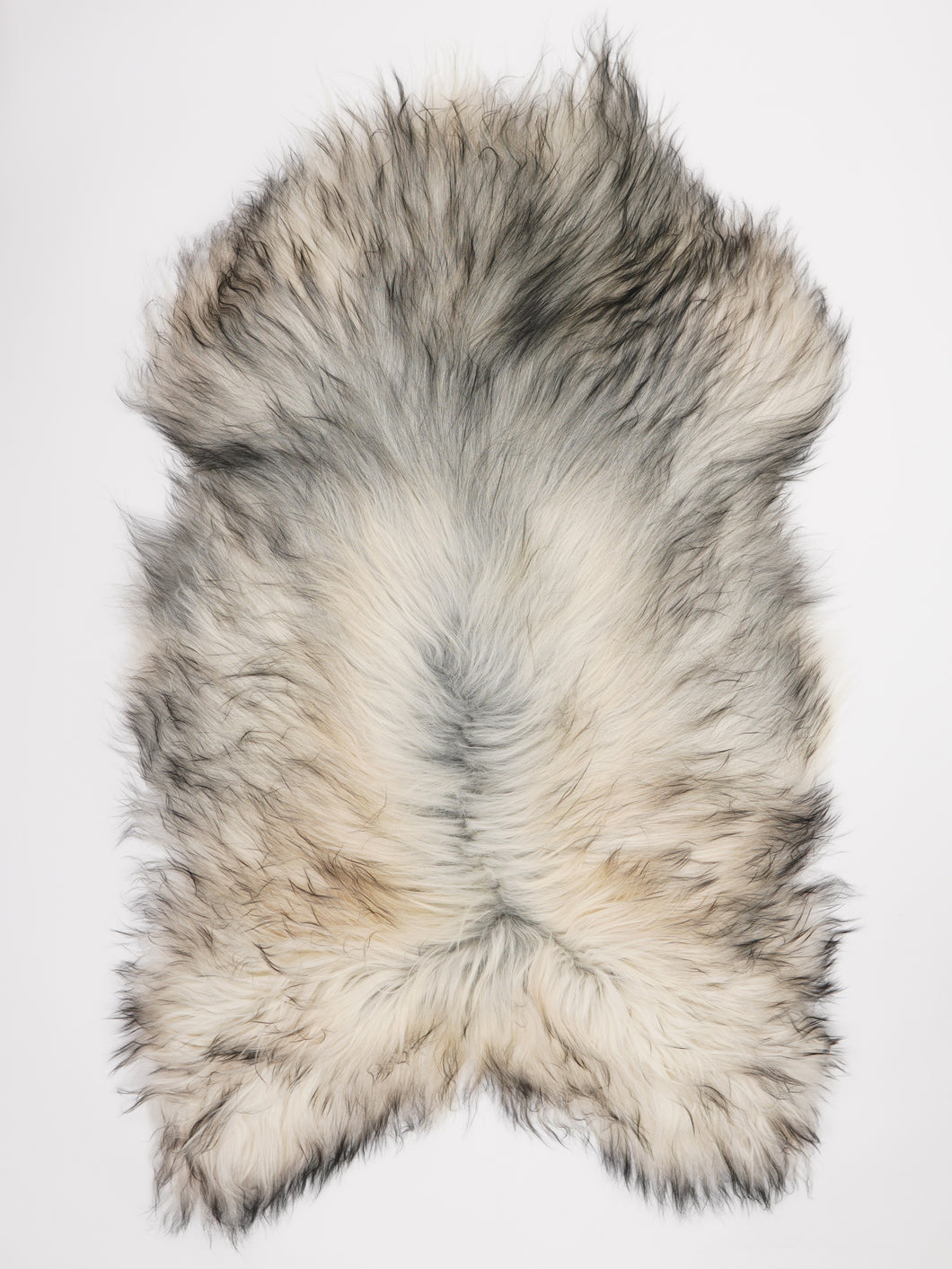 Pilkas islandiškas avikailis XXL