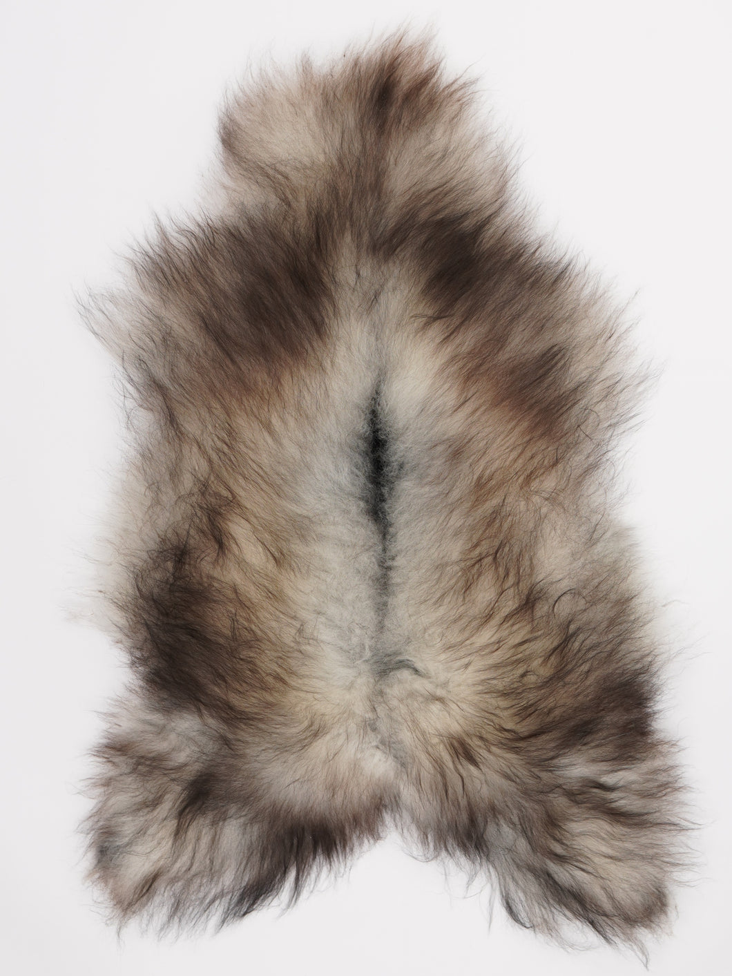 Pilkas islandiškas avikailis L