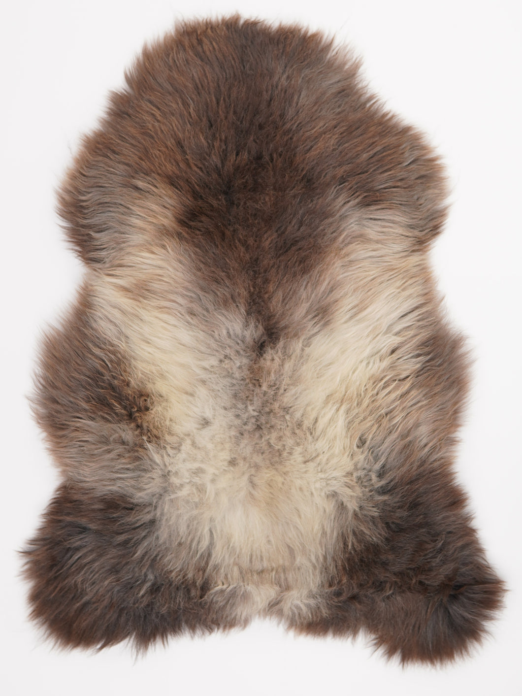 Įvairiaspalvis avikailis XL