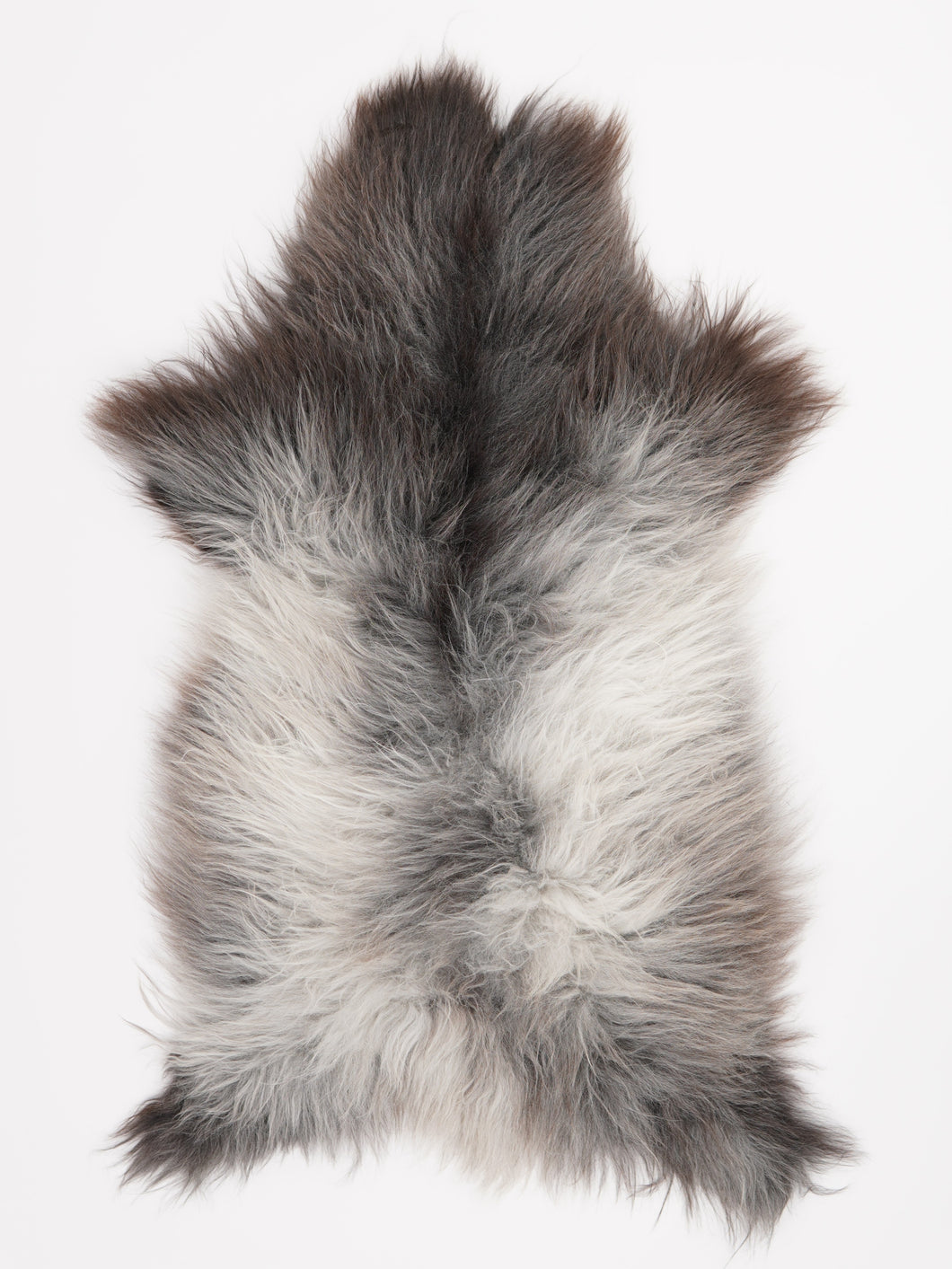 Įvairiaspalvis avikailis XL