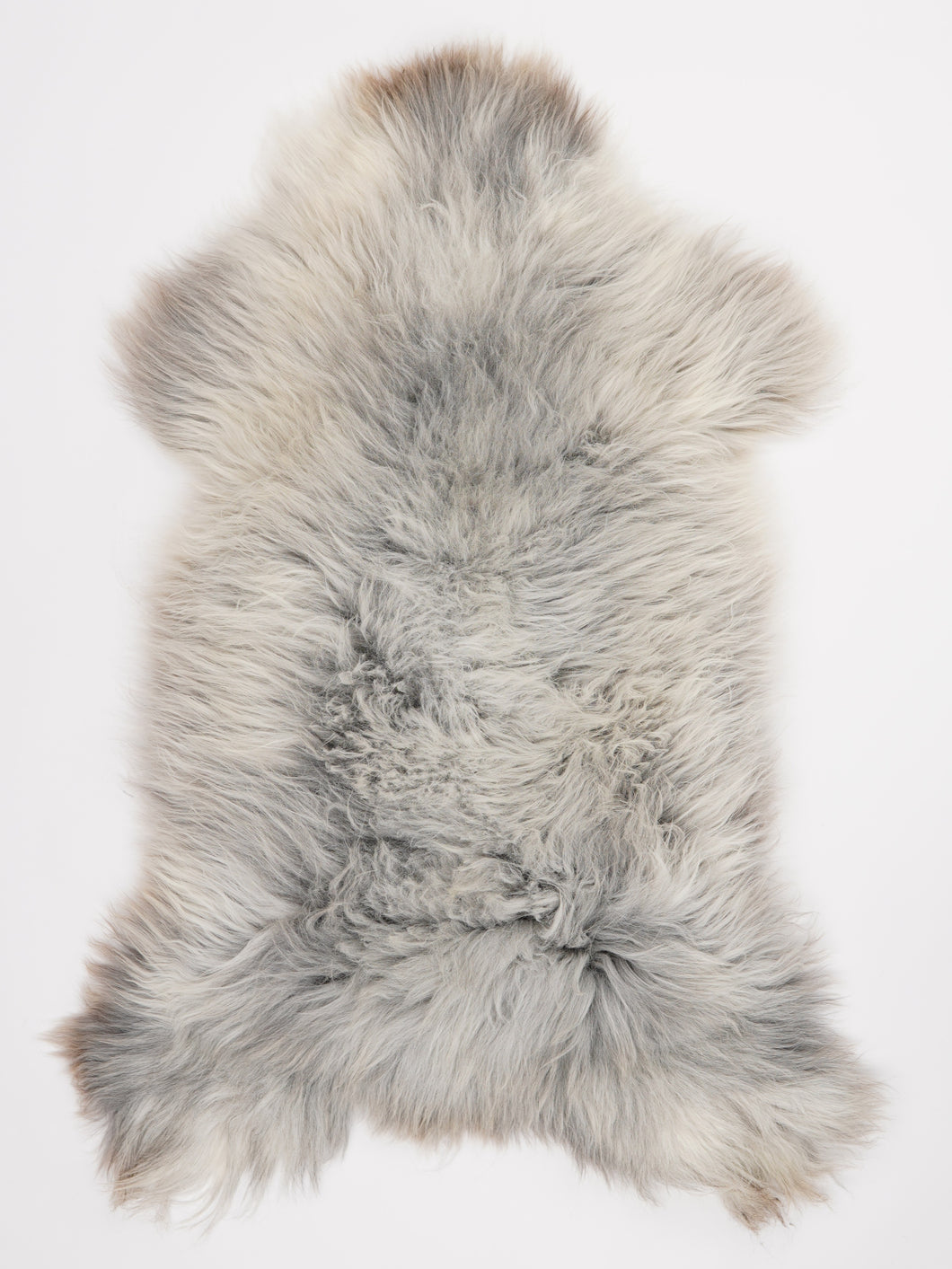 Įvairiaspalvis avikailis XL