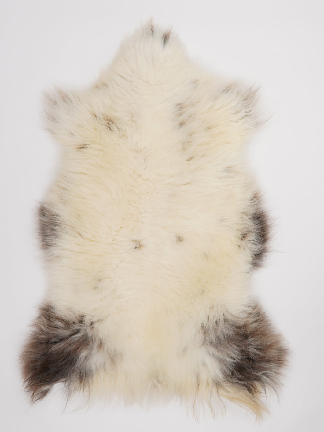 Įvairiaspalvis avikailis XL