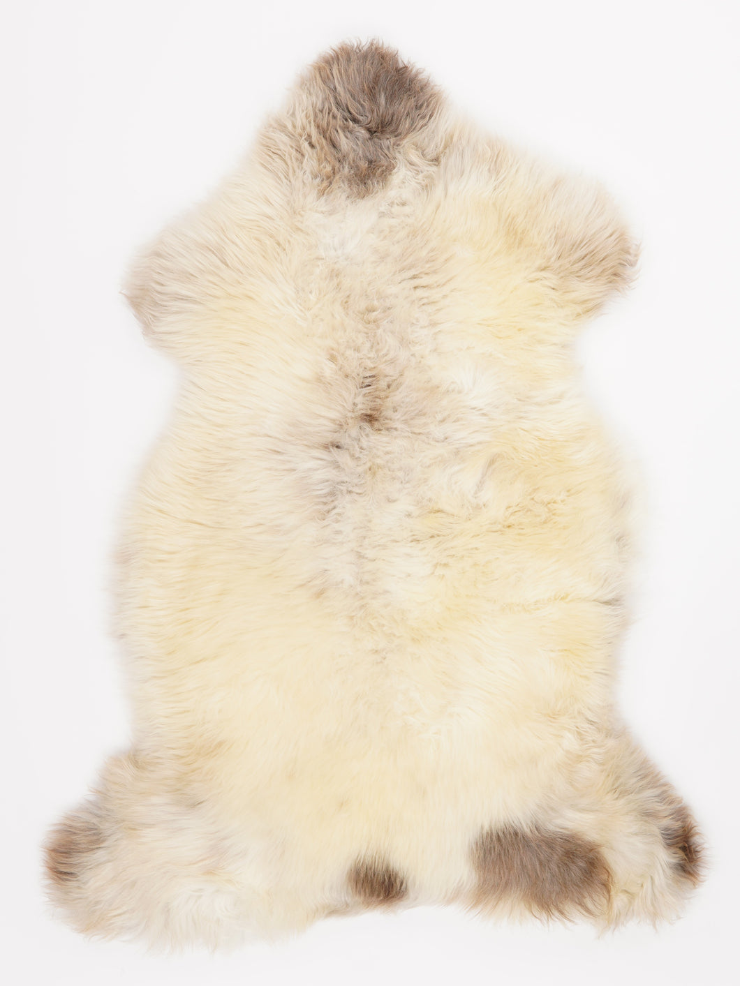 Įvairiaspalvis avikailis XL