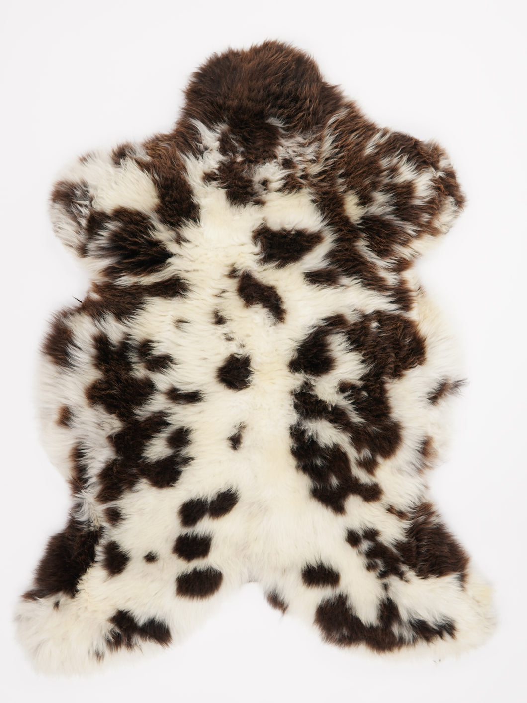 Įvairiaspalvis avikailis XL