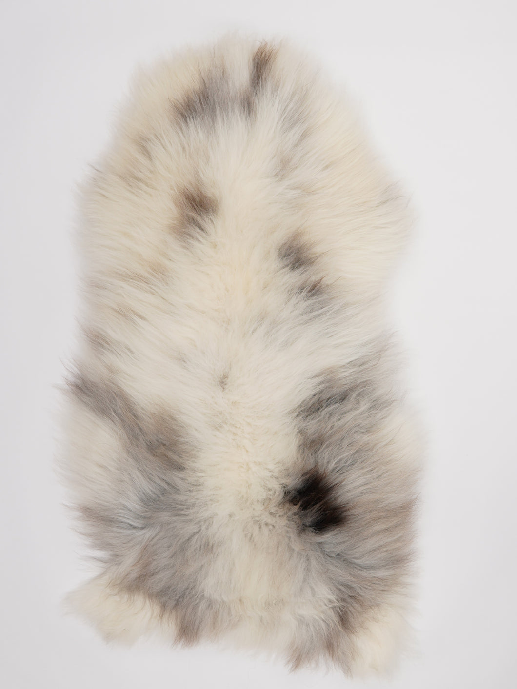 Įvairiaspalvis avikailis XL