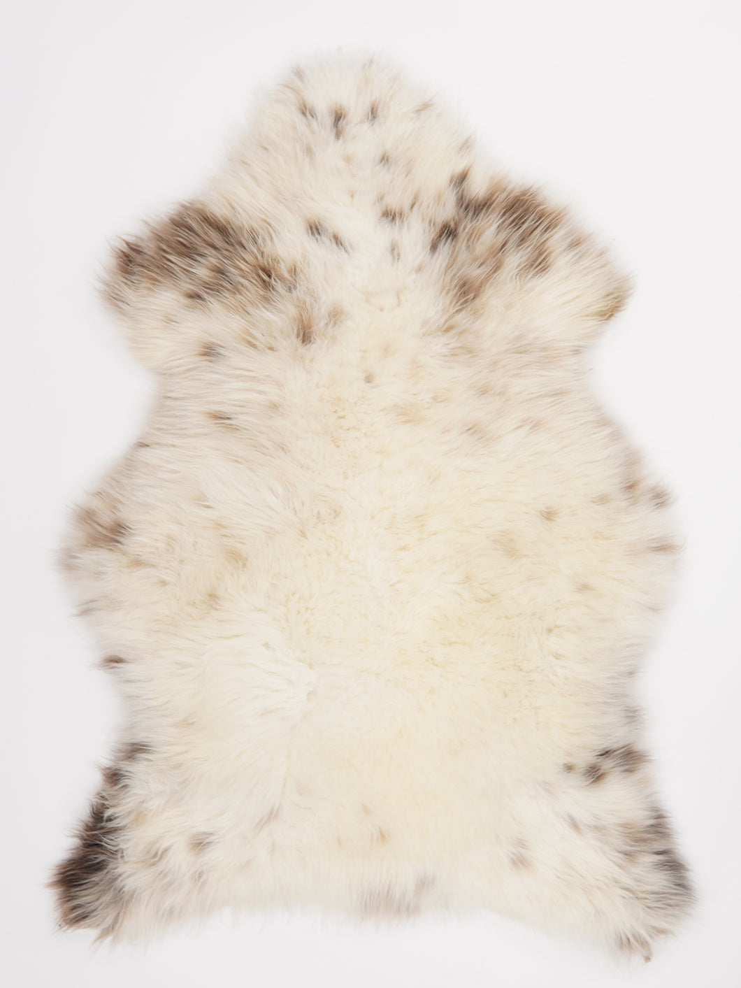 Įvairiaspalvis avikailis XL