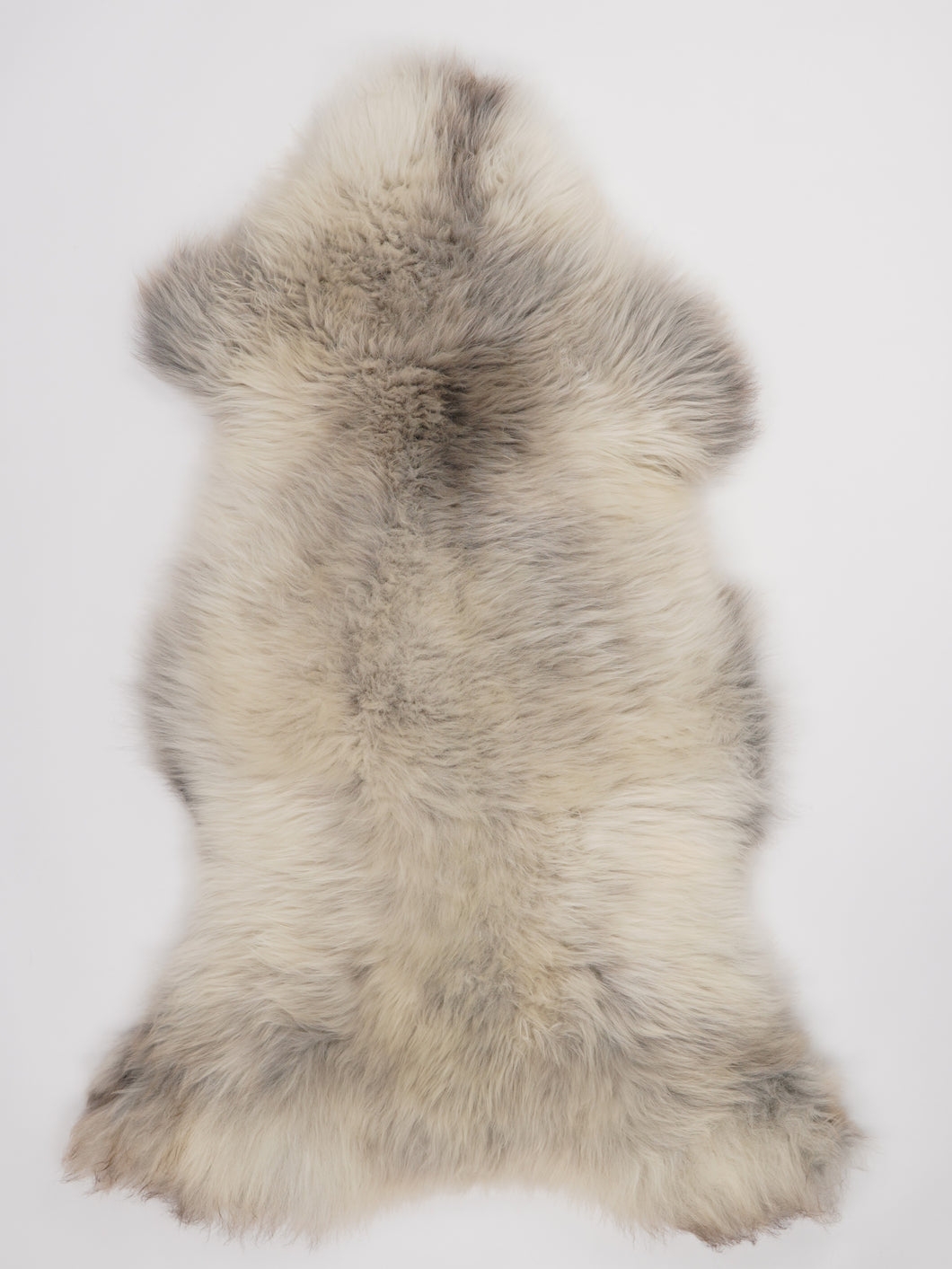 Įvairiaspalvis avikailis XL