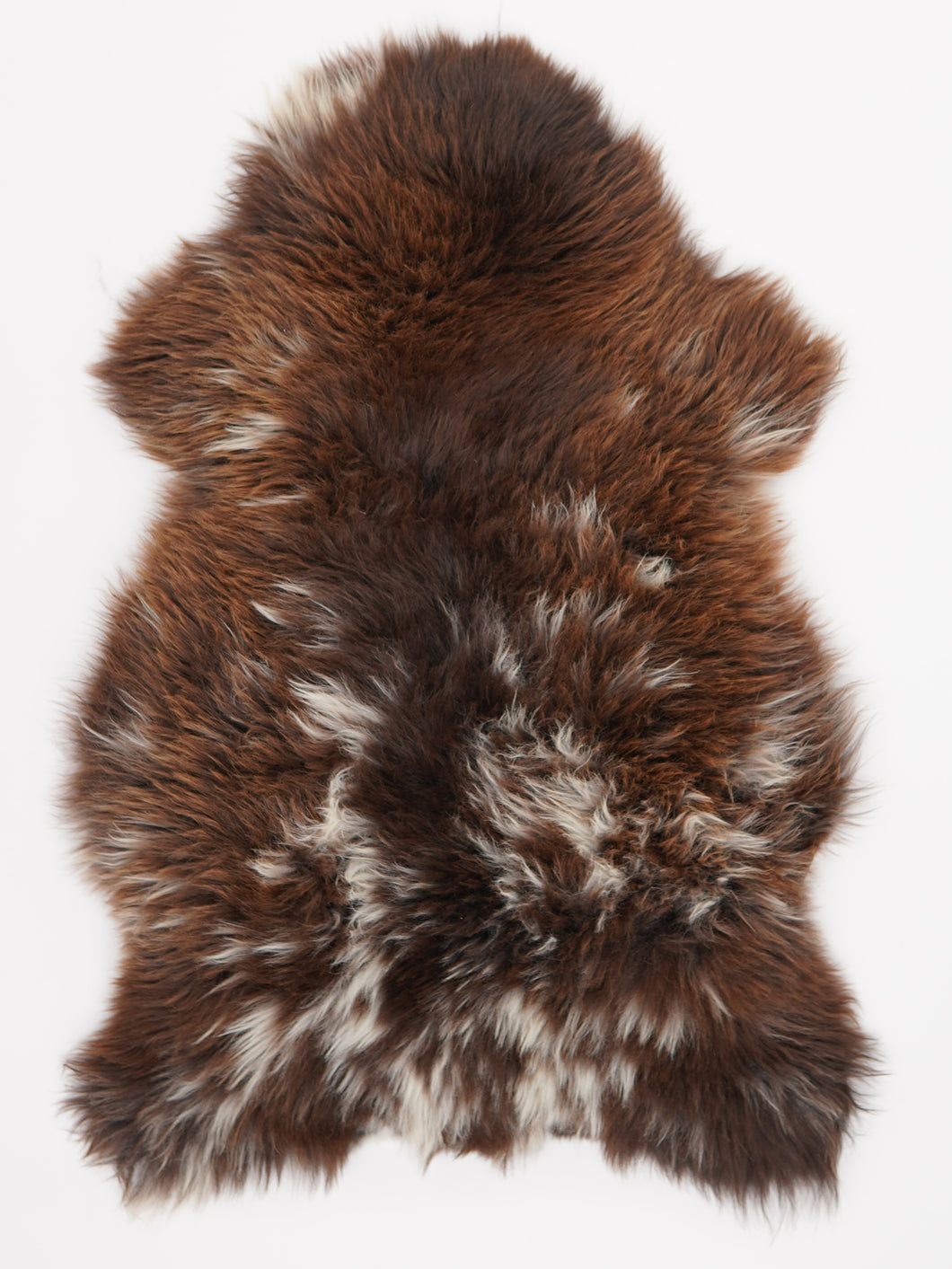 Įvairiaspalvis avikailis L