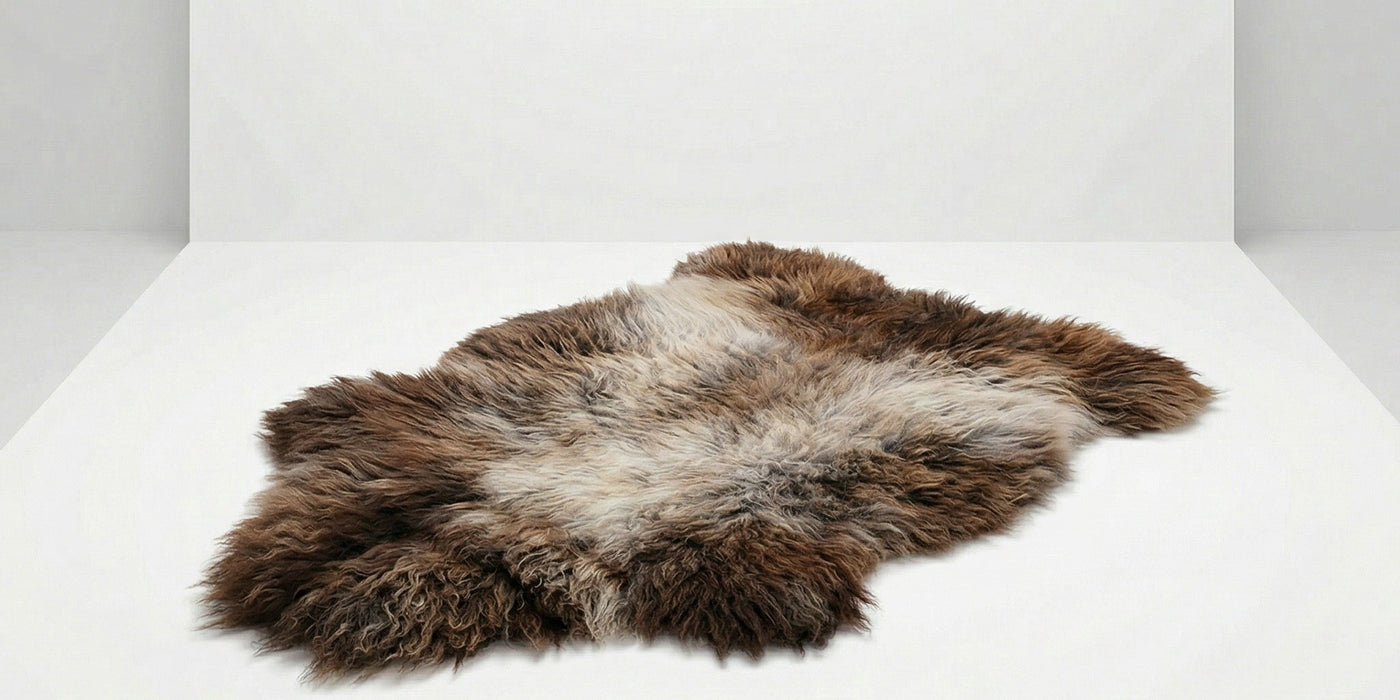 Susipažinkite su savo avikailiu