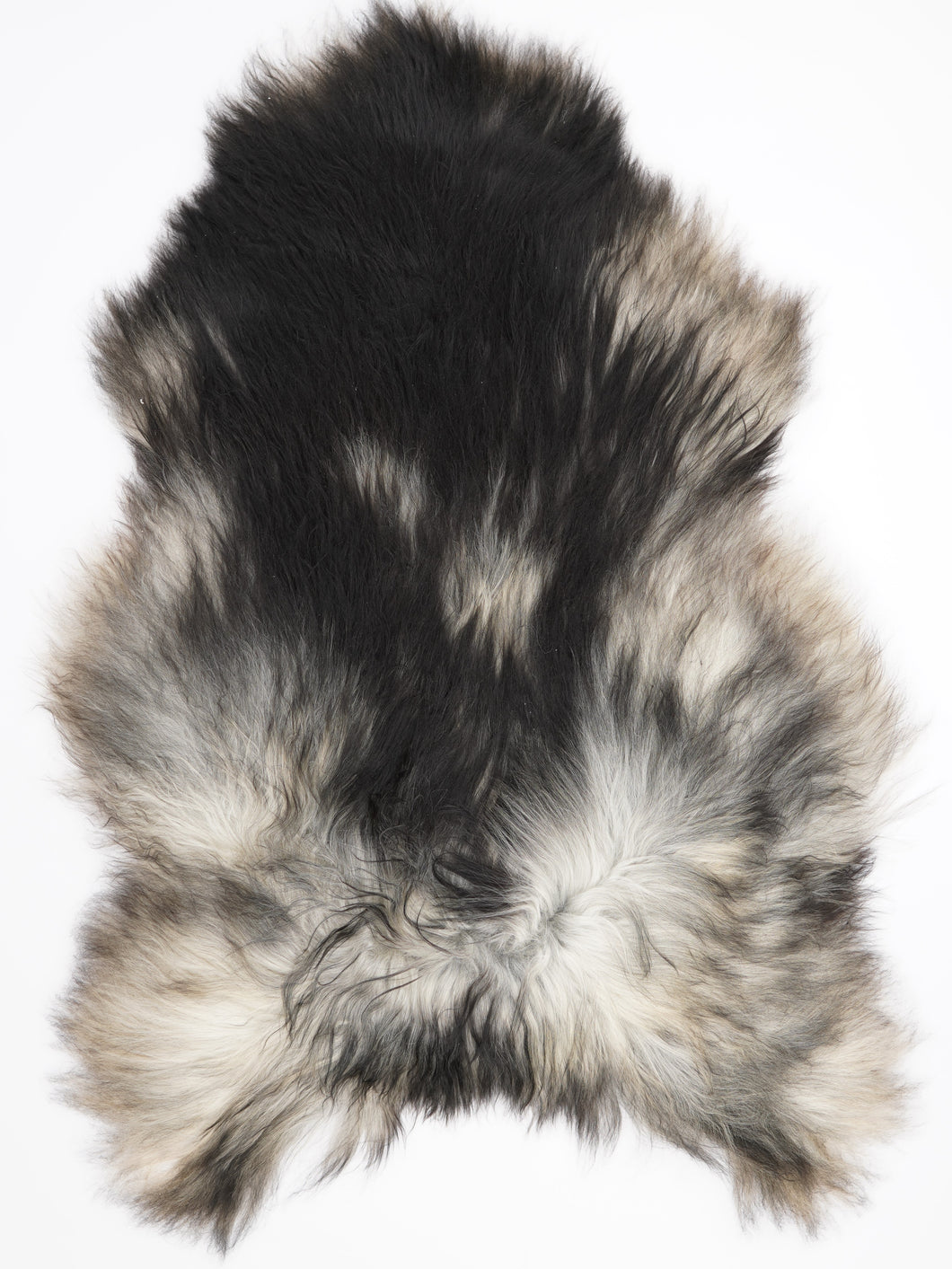 Pilkas islandiškas avikailis XXXL