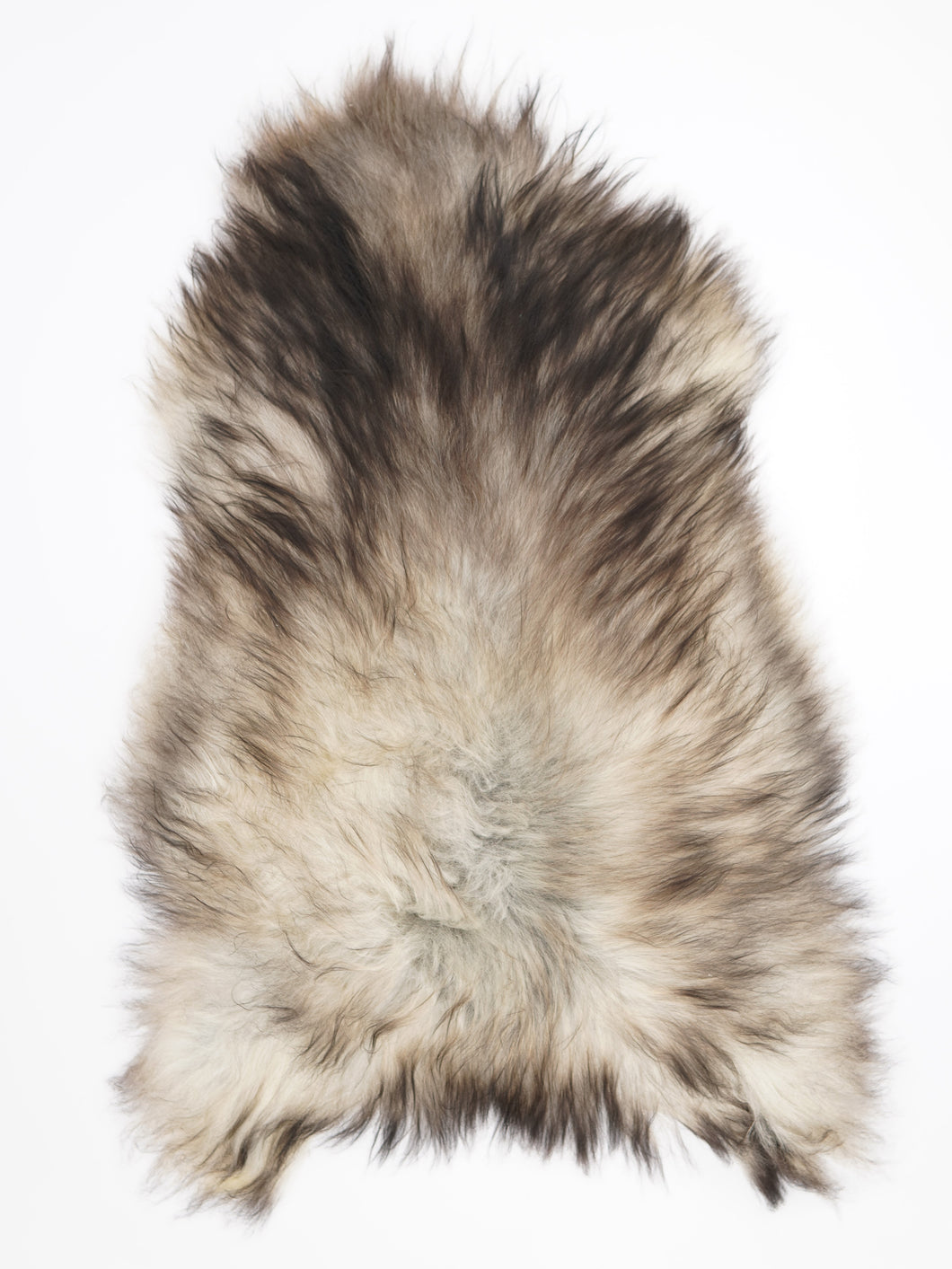 Pilkas islandiškas avikailis XXL