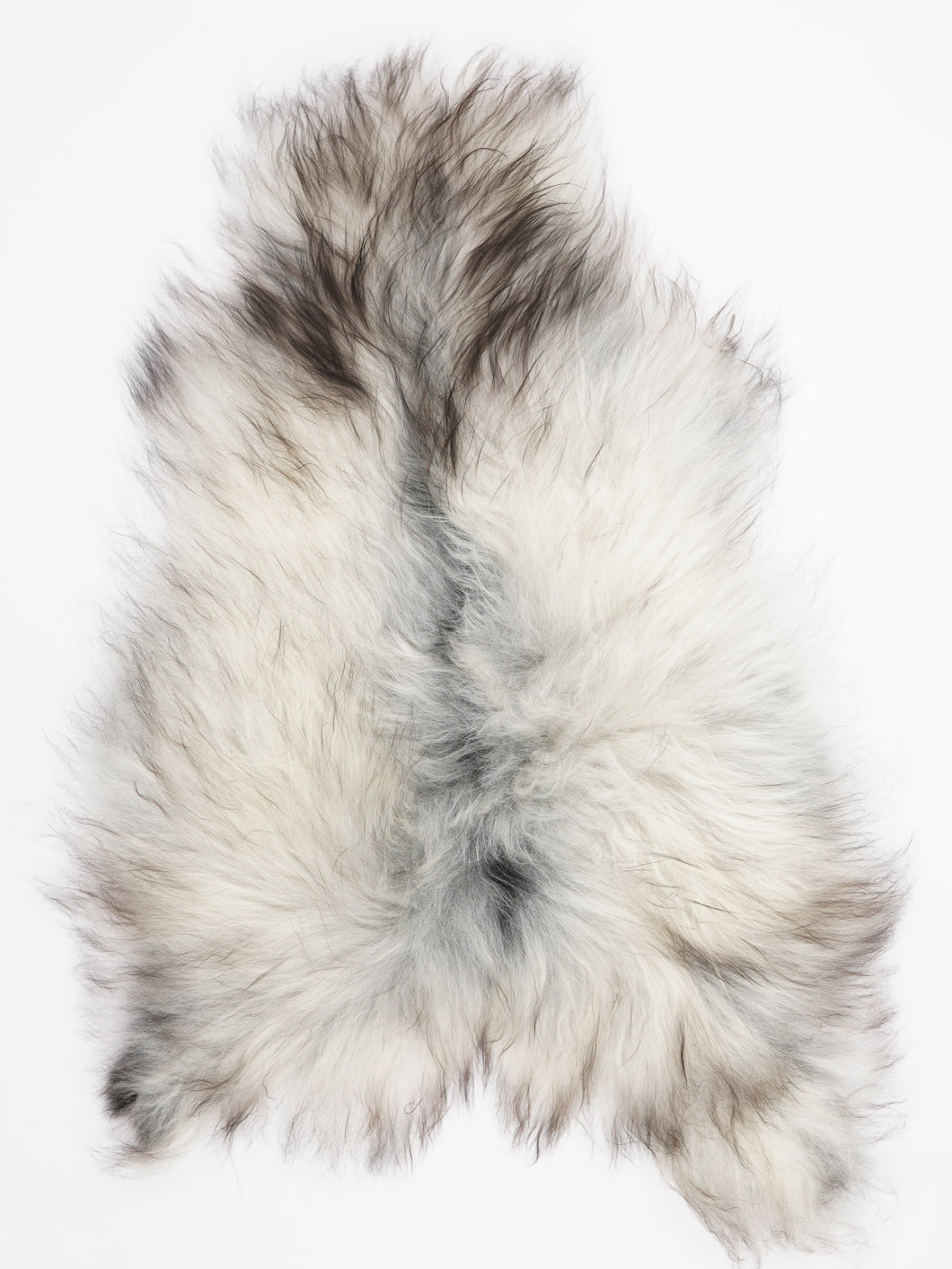 Pilkas islandiškas avikailis XL