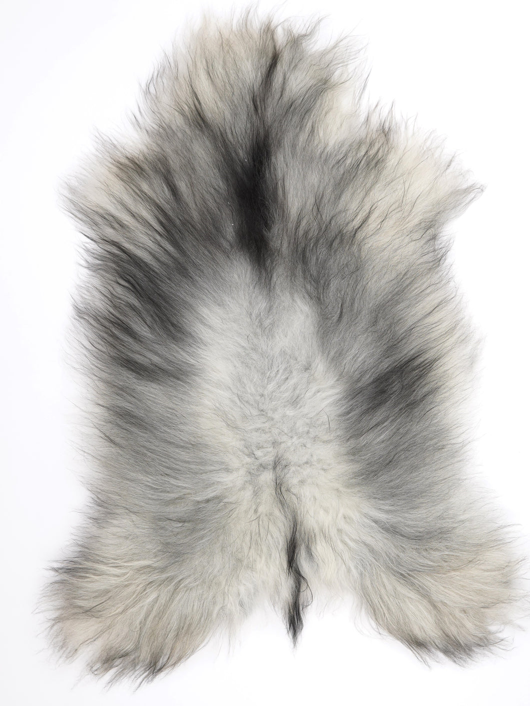 Pilkas islandiškas avikailis XL