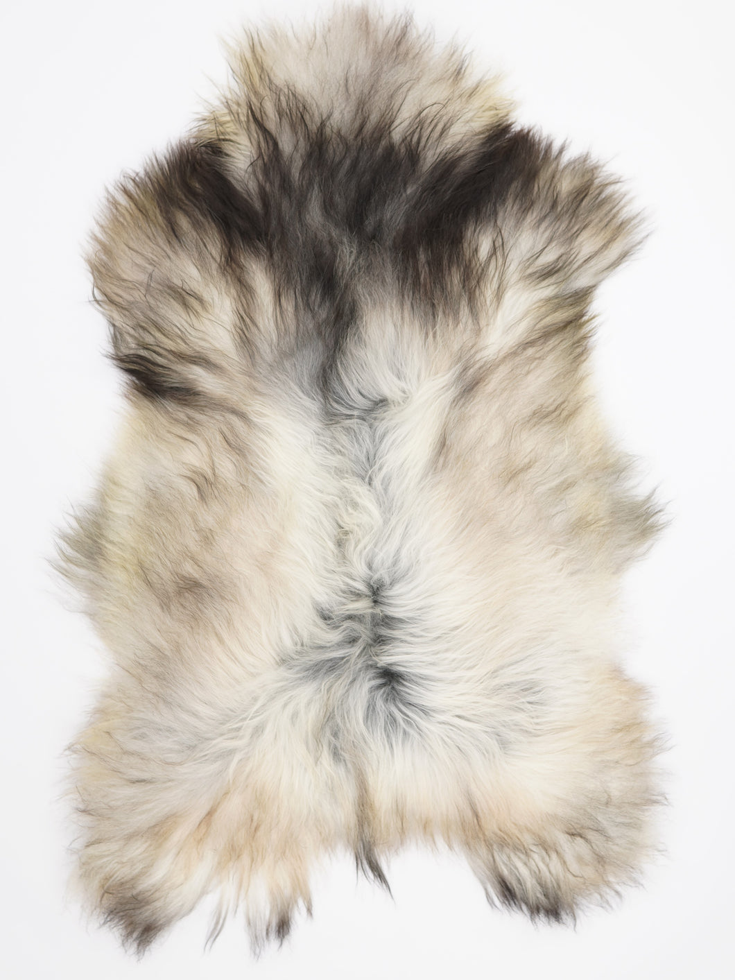 Pilkas islandiškas avikailis XXL