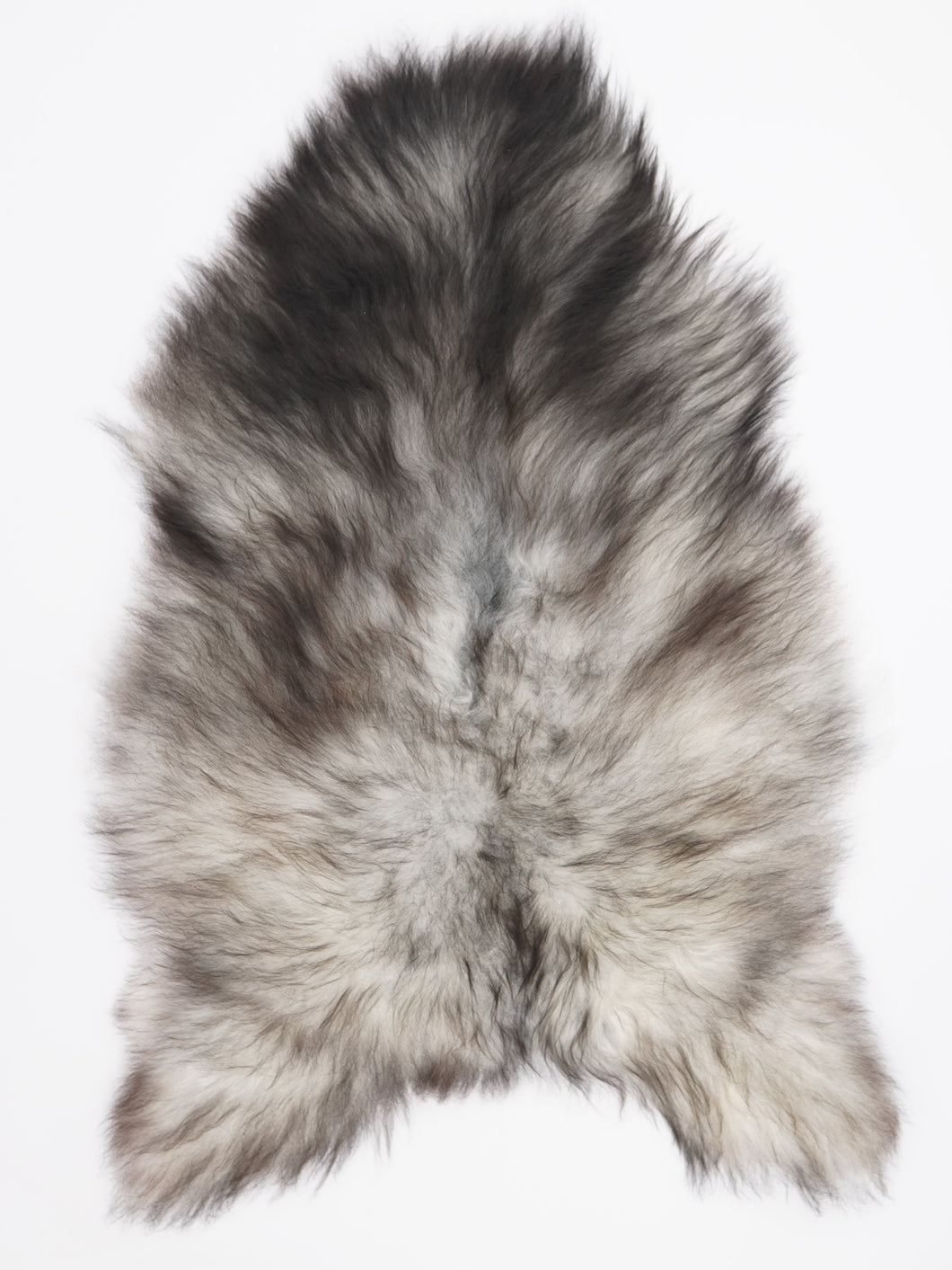 Pilkas islandiškas avikailis XL