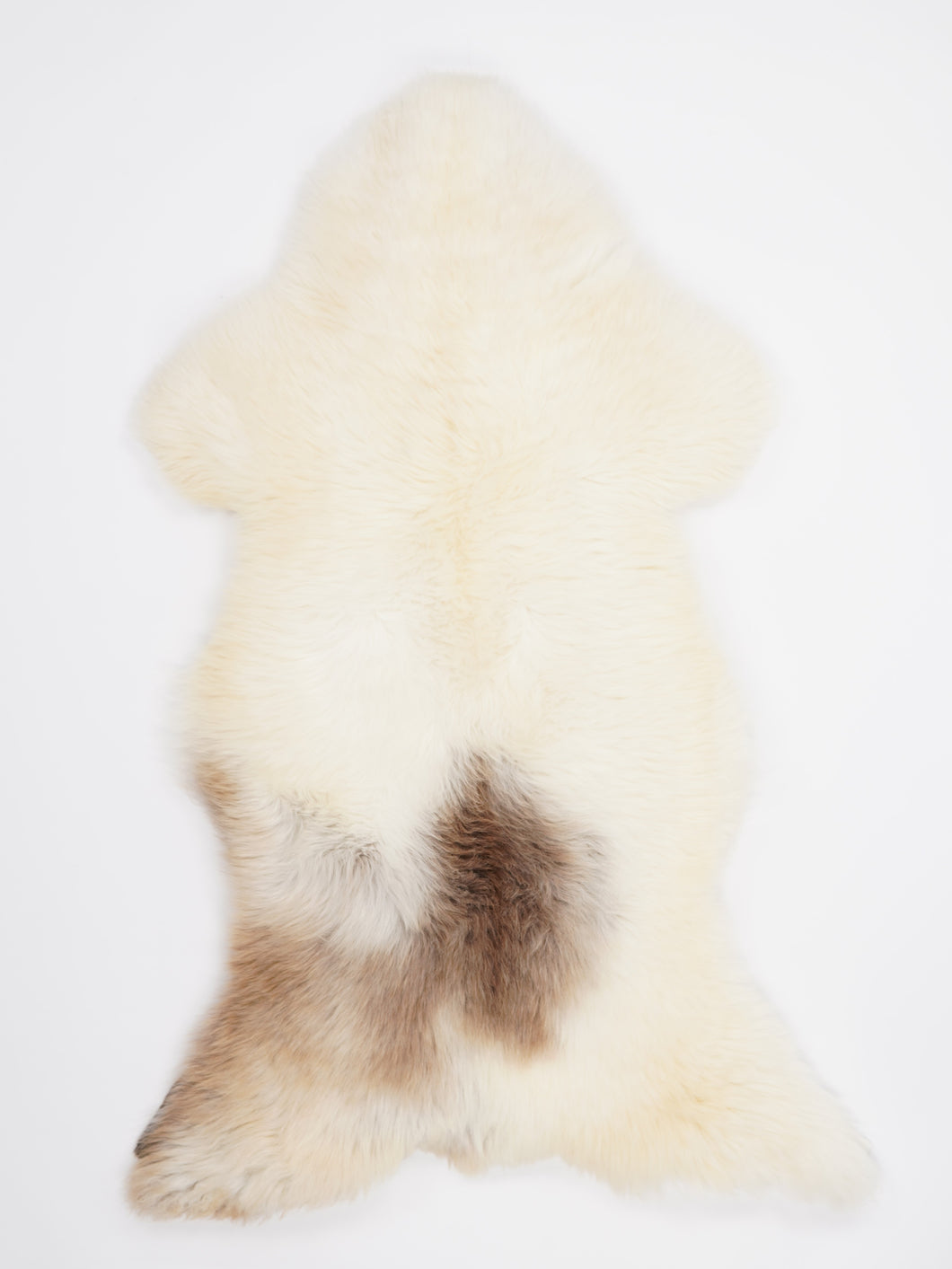 Įvairiaspalvis avikailis XXL