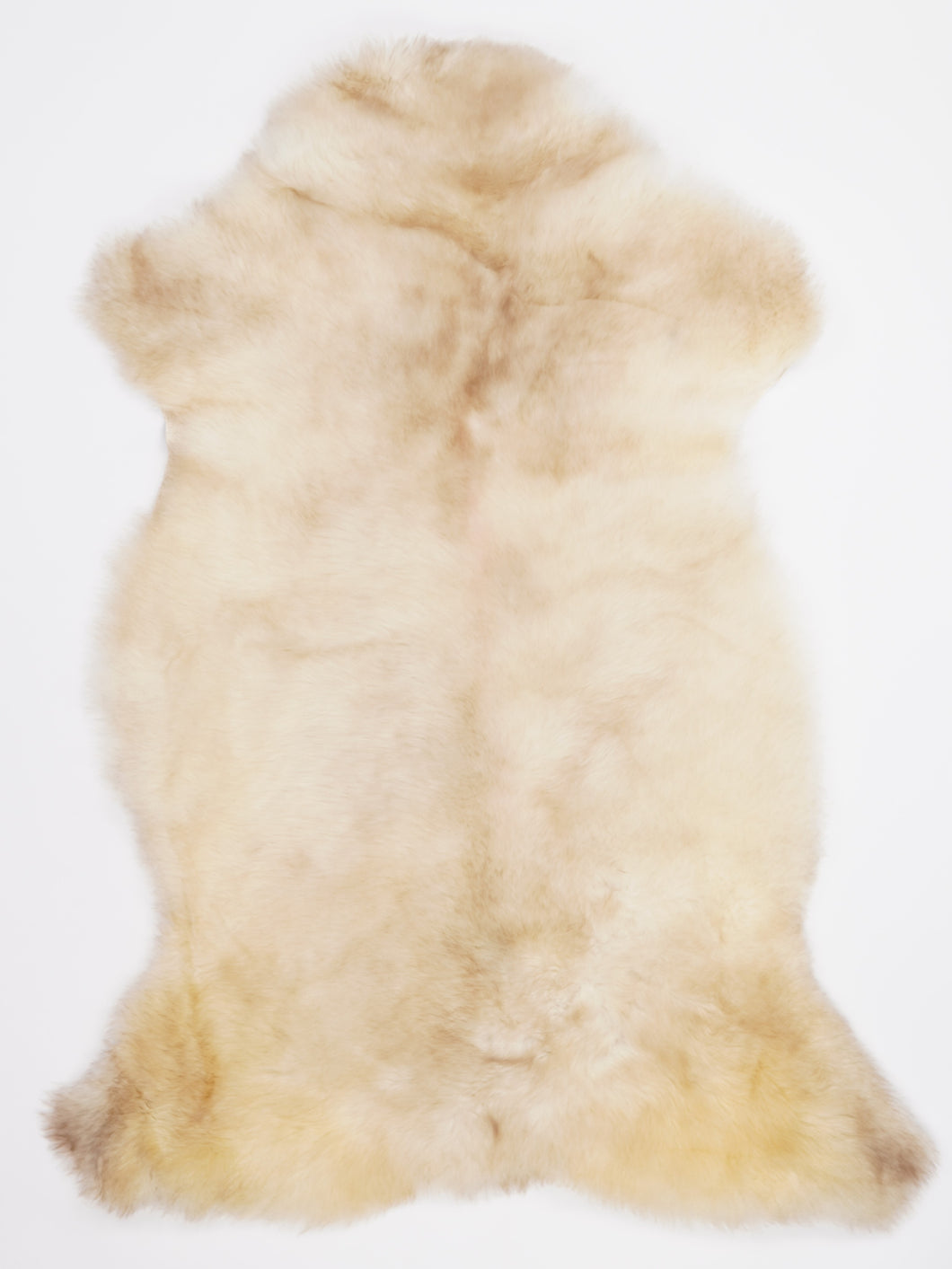 Įvairiaspalvis avikailis XXL