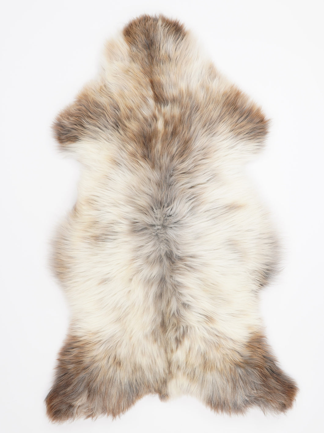 Įvairiaspalvis avikailis XXL