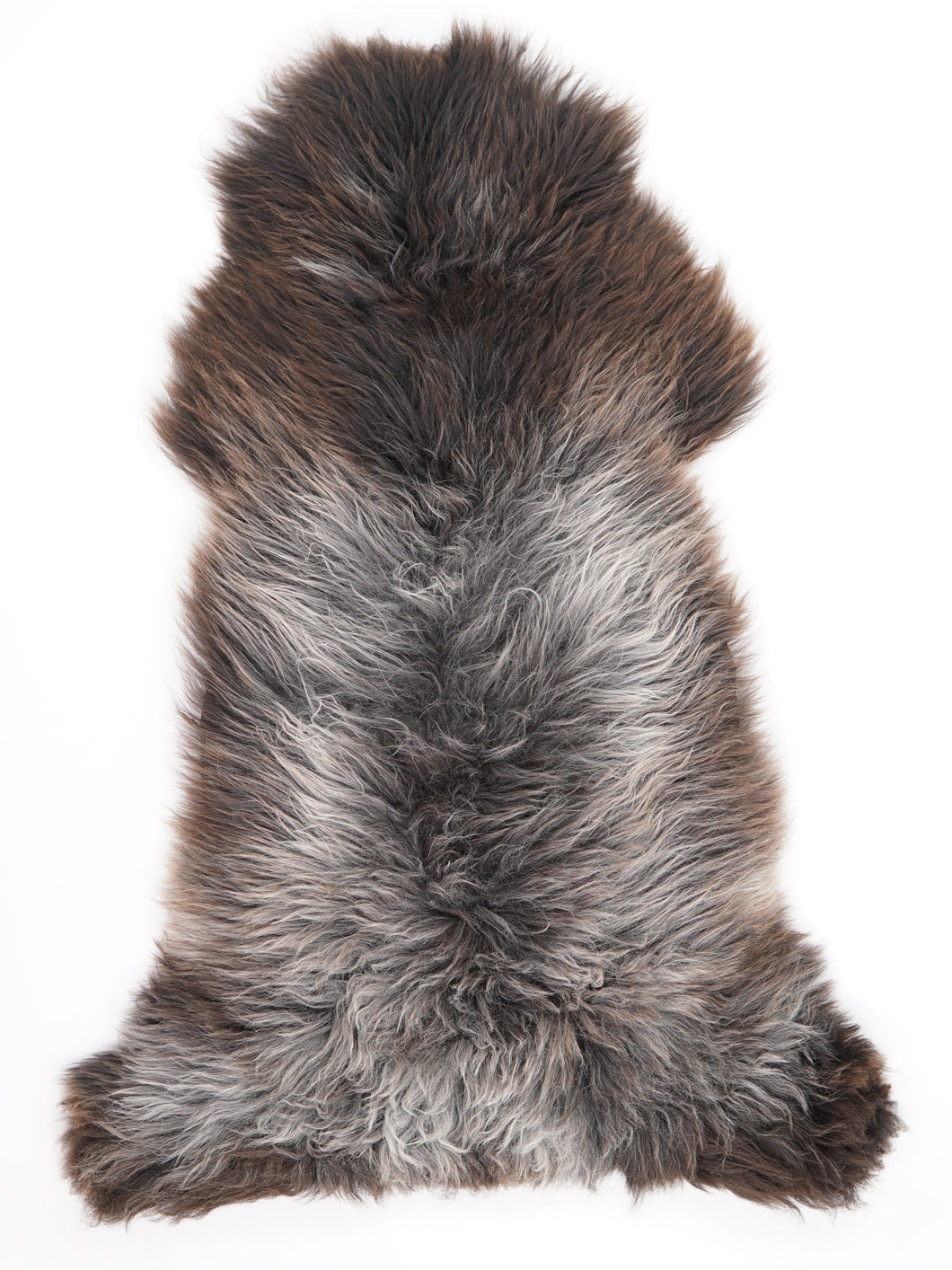 Įvairiaspalvis avikailis XXL