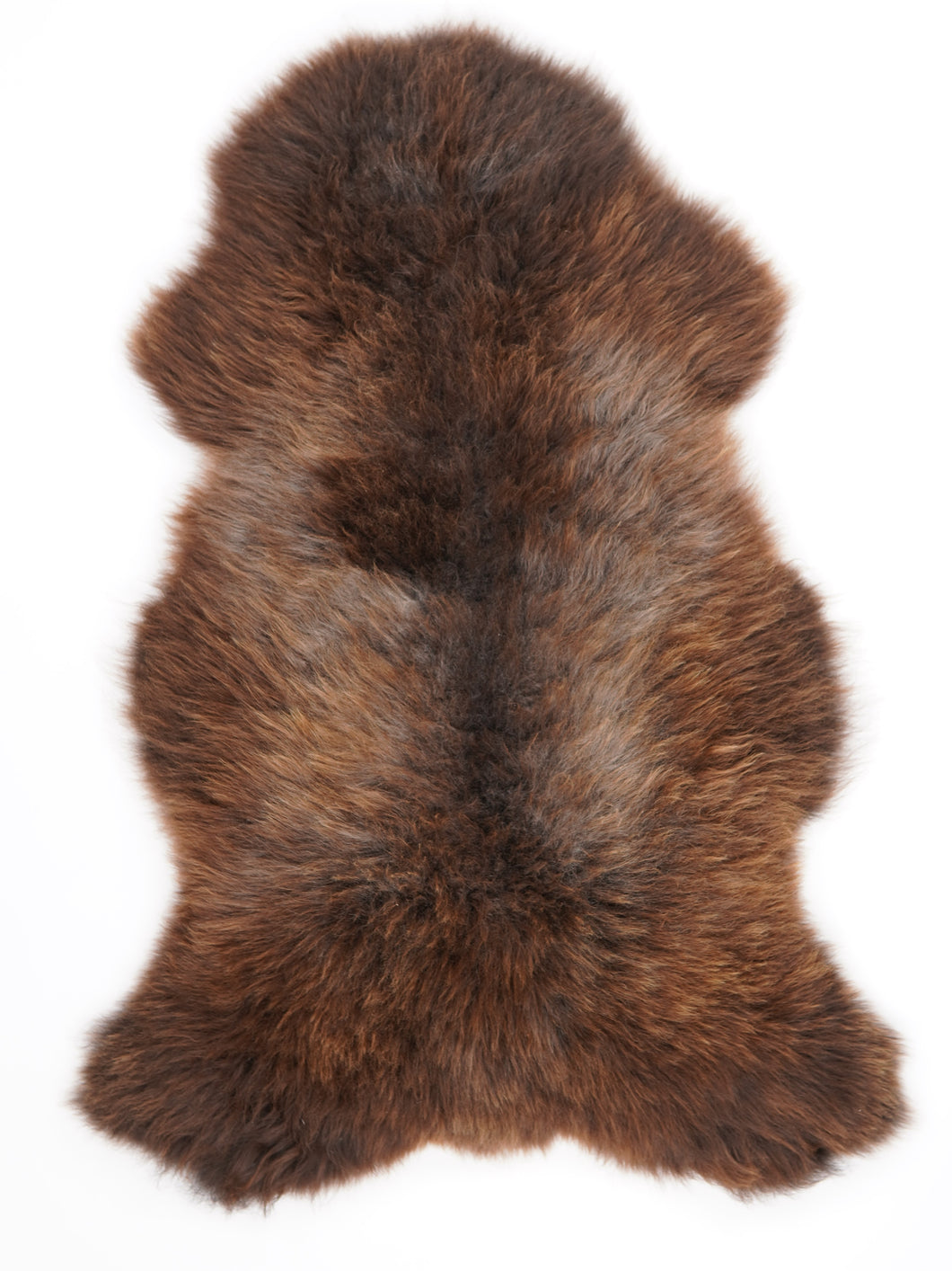 Įvairiaspalvis avikailis XXL