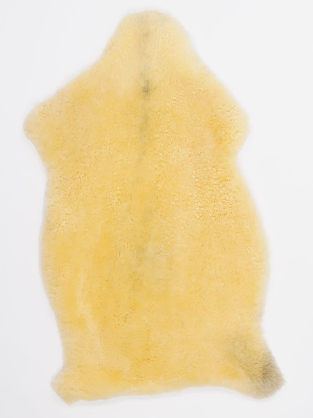 Medicininis avikailis M (itin trumpi plaukai)