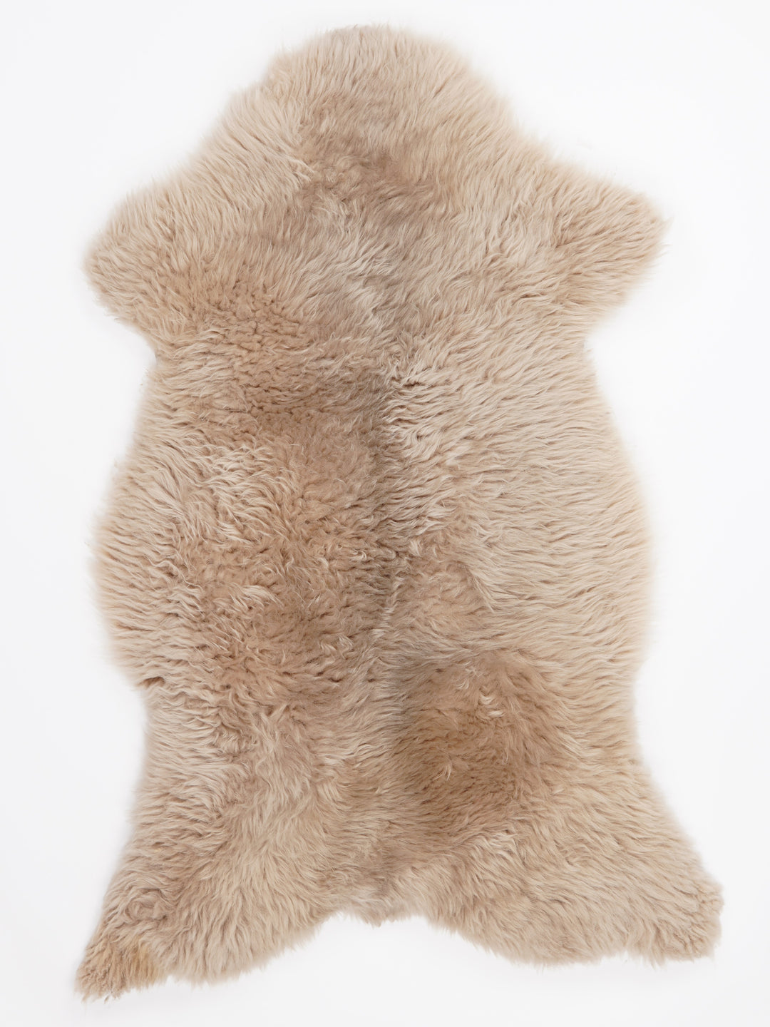 Taupe avikailis XL