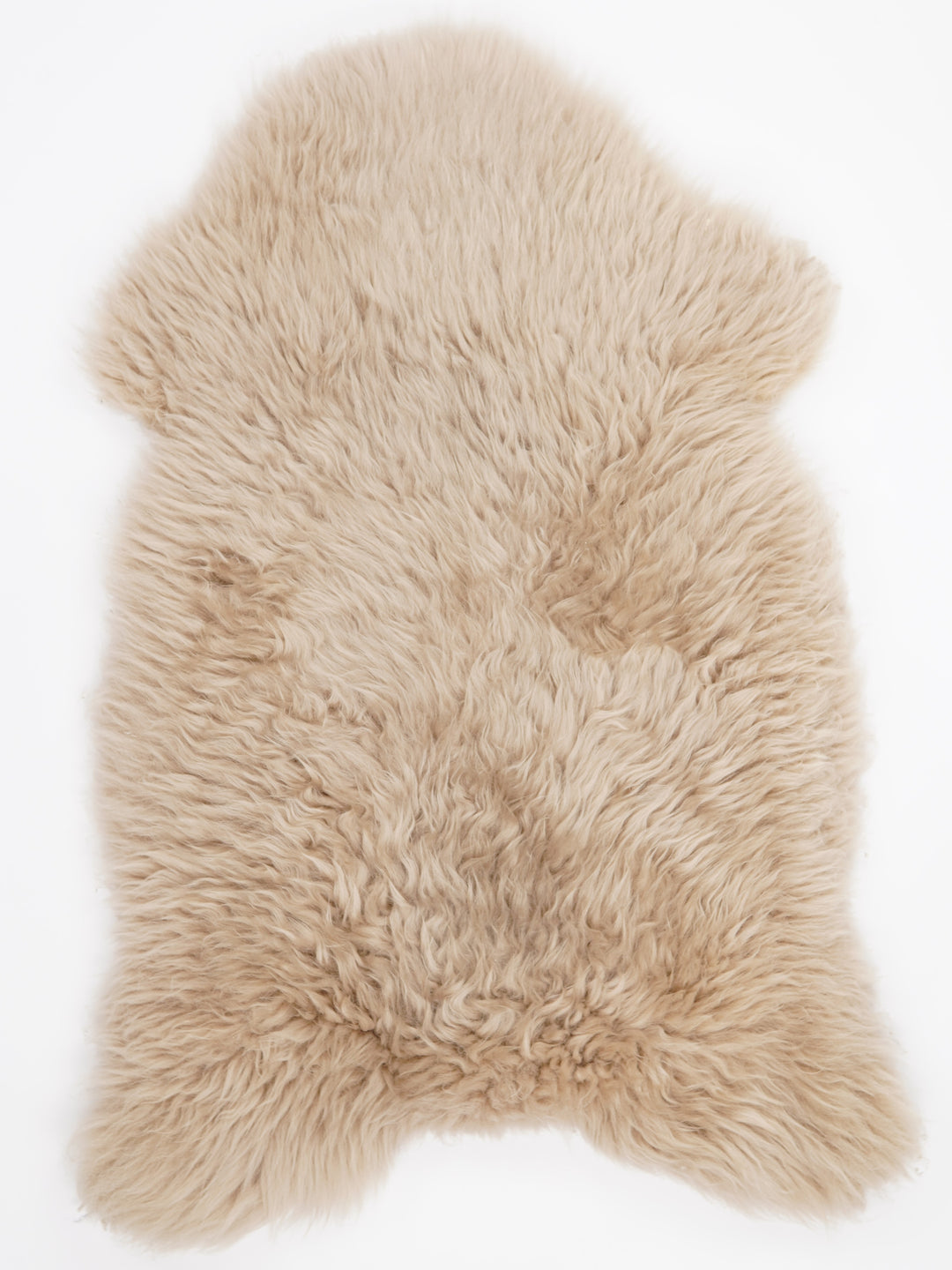 Taupe avikailis XXL