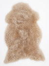Taupe avikailis XXL