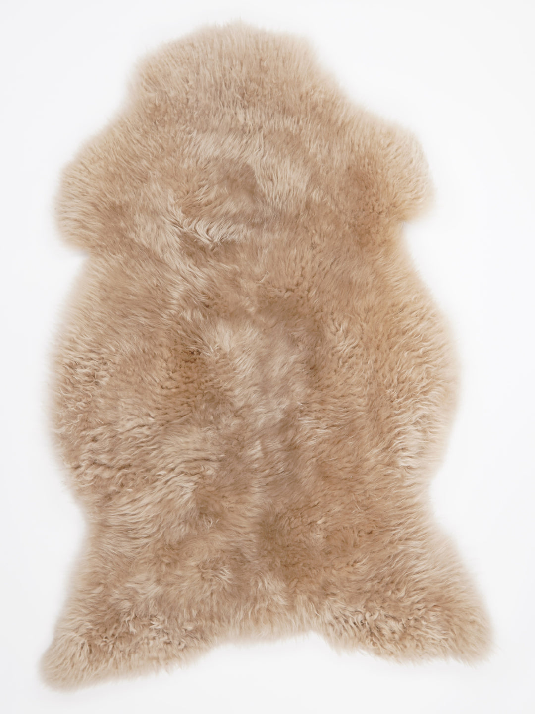 Taupe avikailis XXL