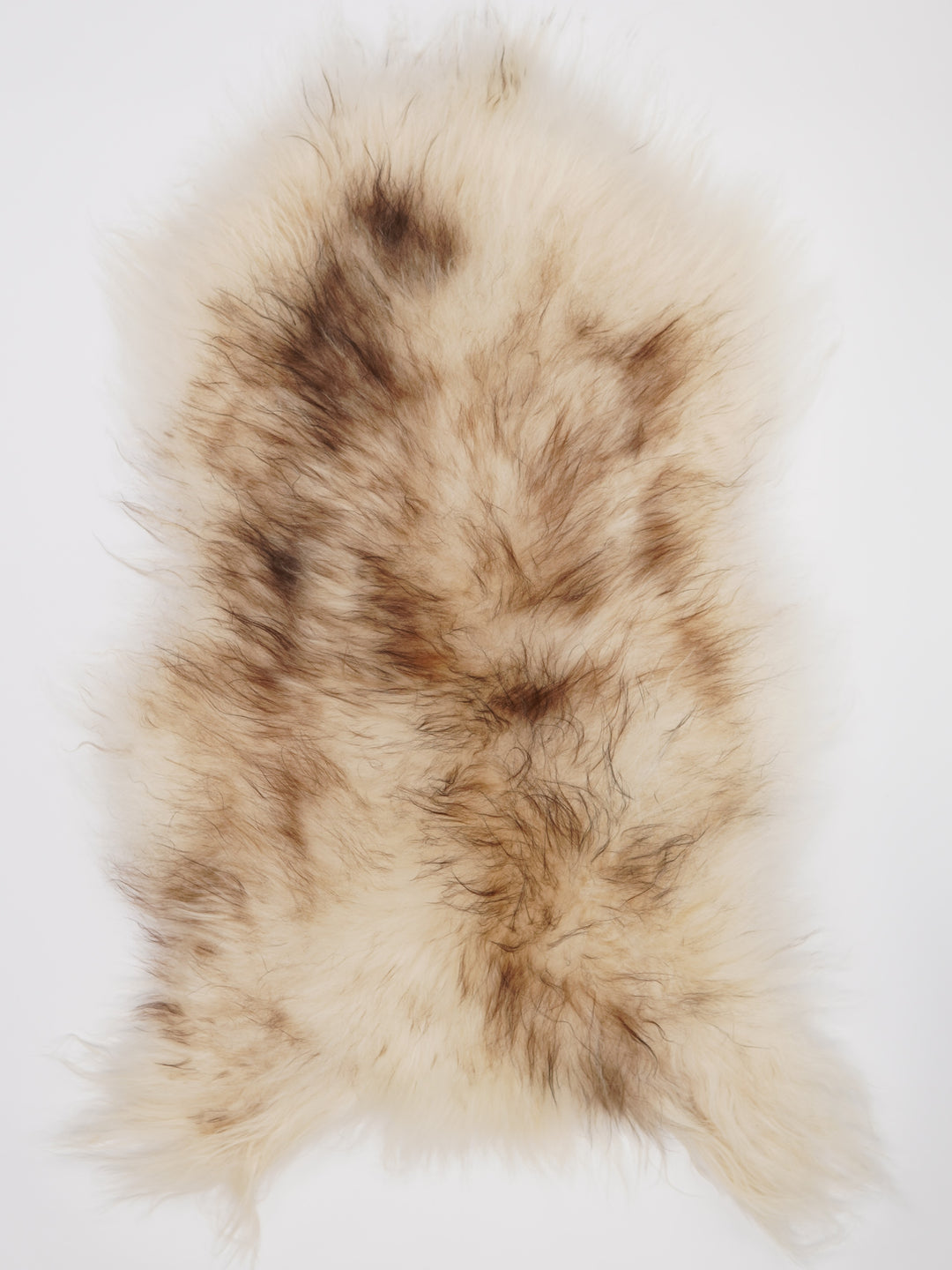 Islandiškas avikailis XXL