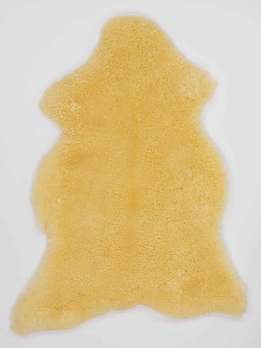 Medicininis avikailis S (itin trumpi plaukai)