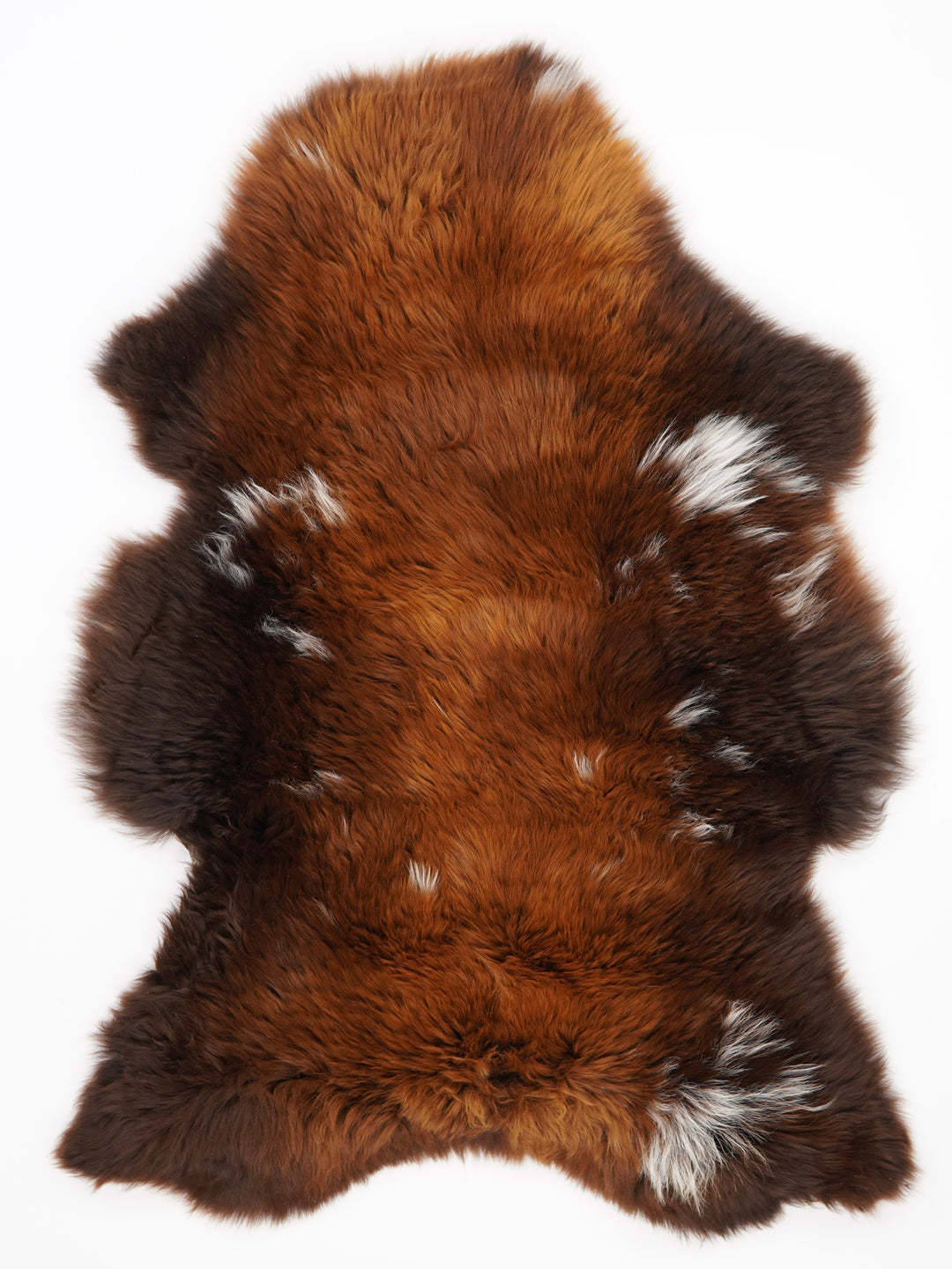 Rudas avikailis "Rusty" XL