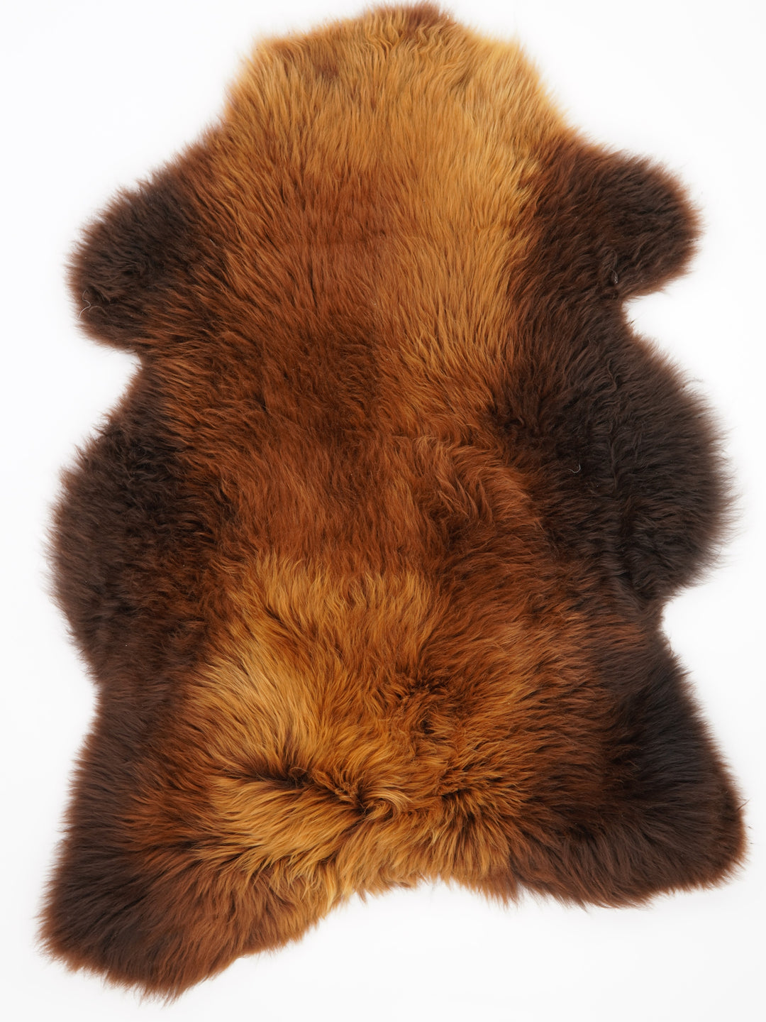 Rudas avikailis "Rusty" XXL