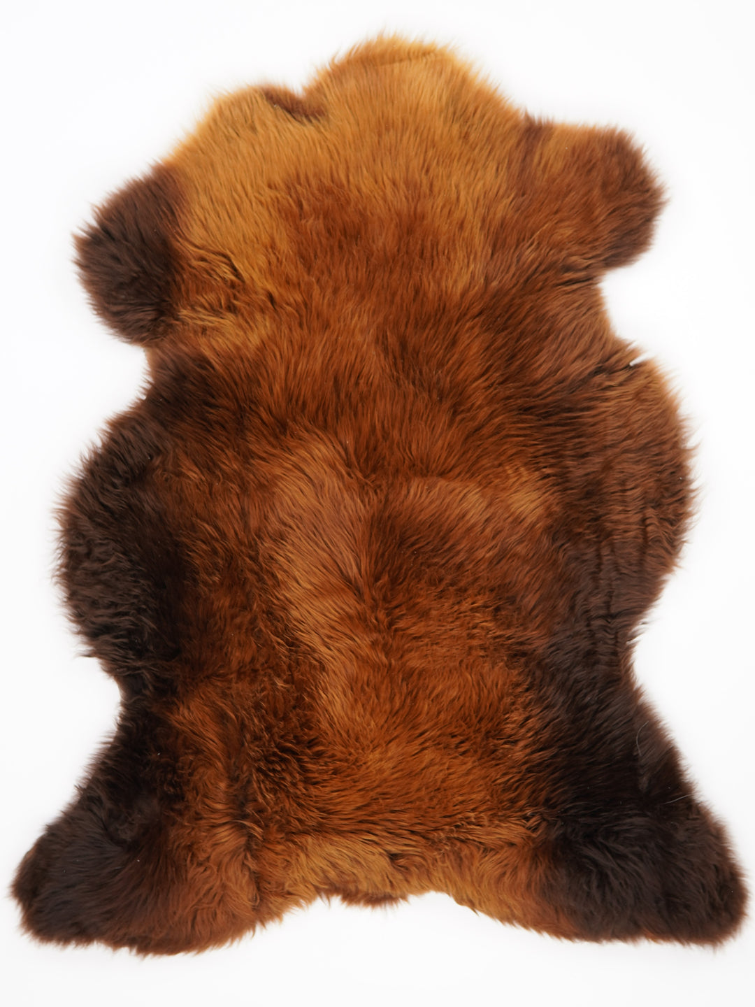Rudas avikailis "Rusty" XL
