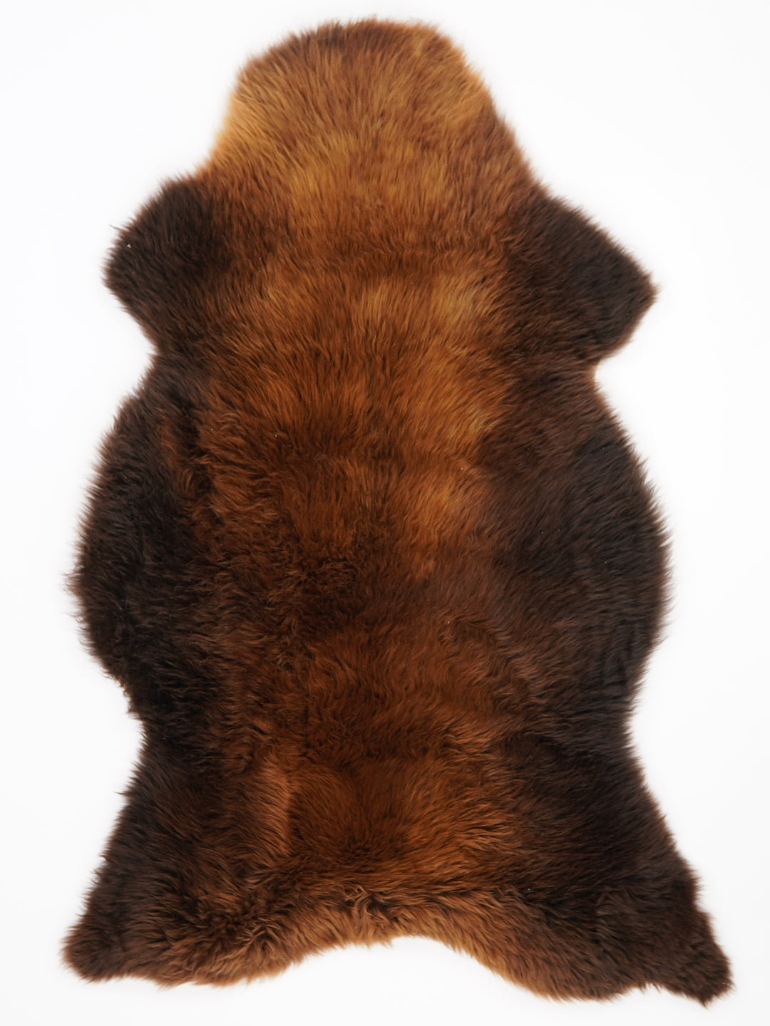 Rudas avikailis "Rusty" XXL